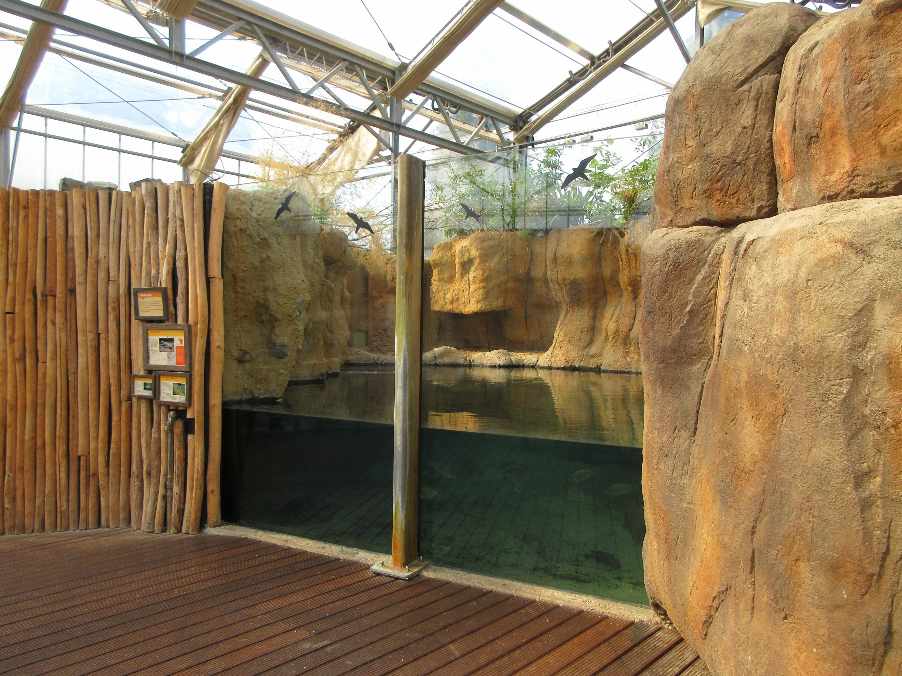 Slender-snouted Crocodile Exhibit