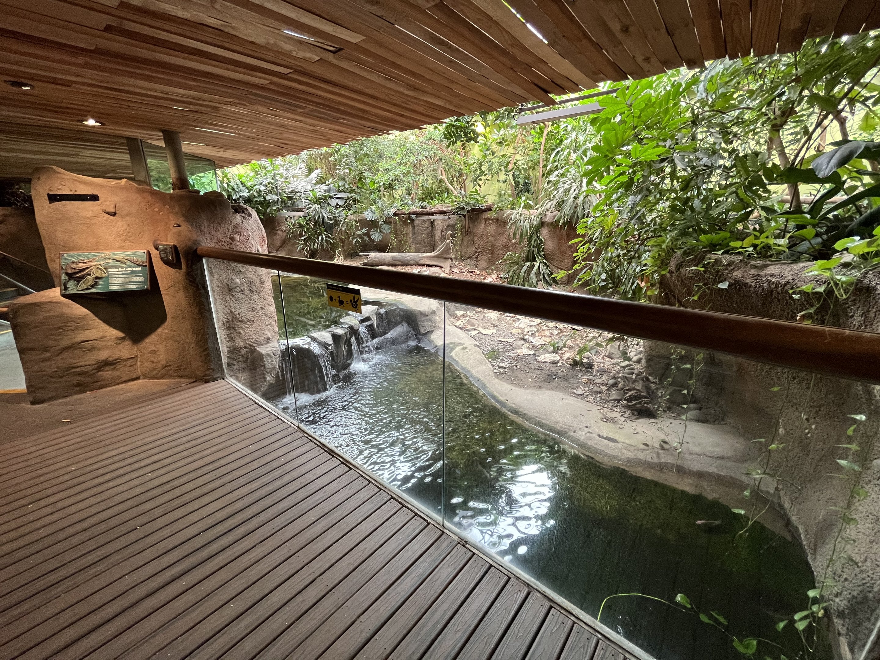 Slender-snouted Crocodile Exhibit