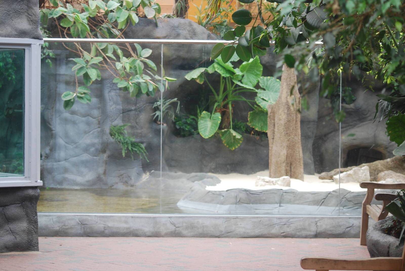 Slender-snouted crocodile indoor enclosure