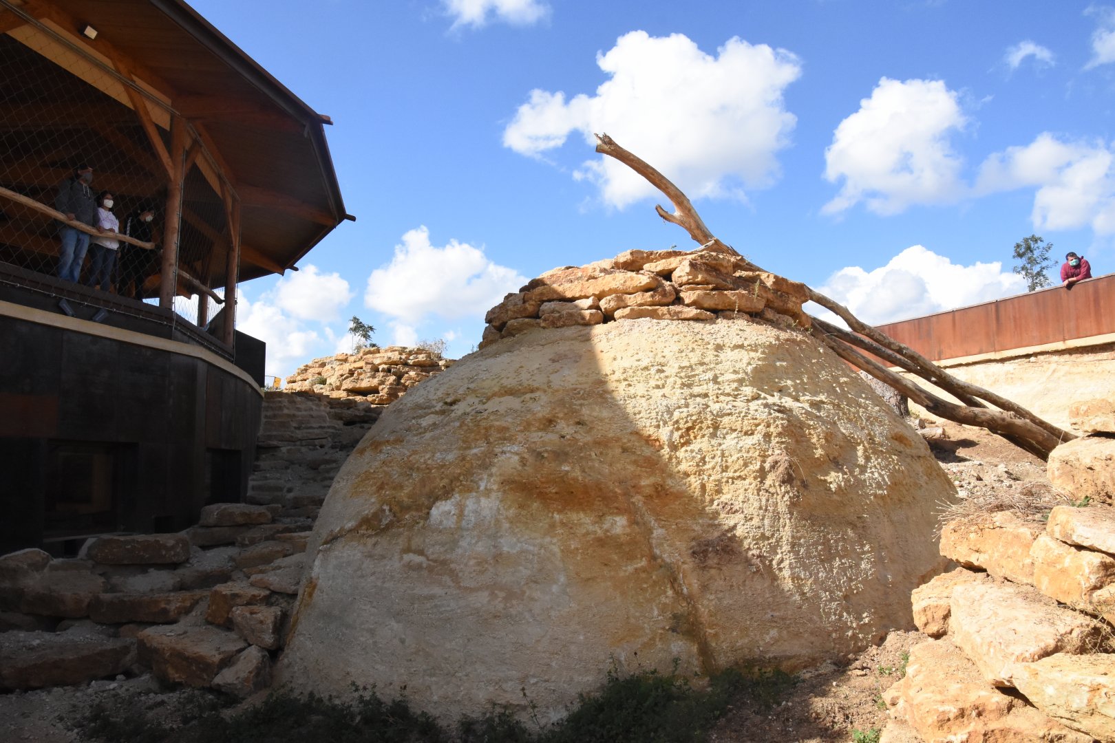 Slender-tailed Meerkat, Bat-eared Fox and Aardvark enclosure