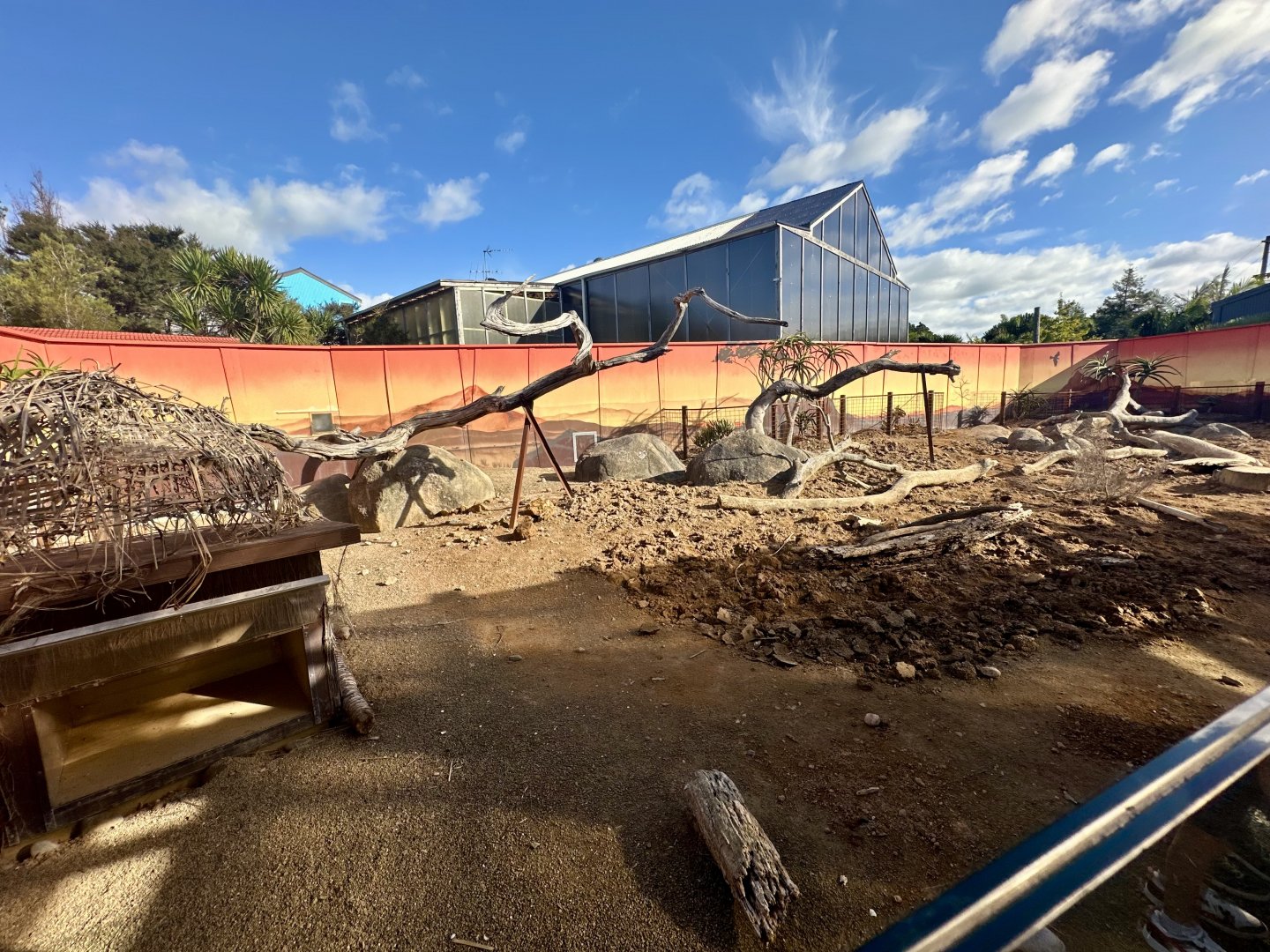 Slender-tailed Meerkat/Cape Porcupine Exhibit
