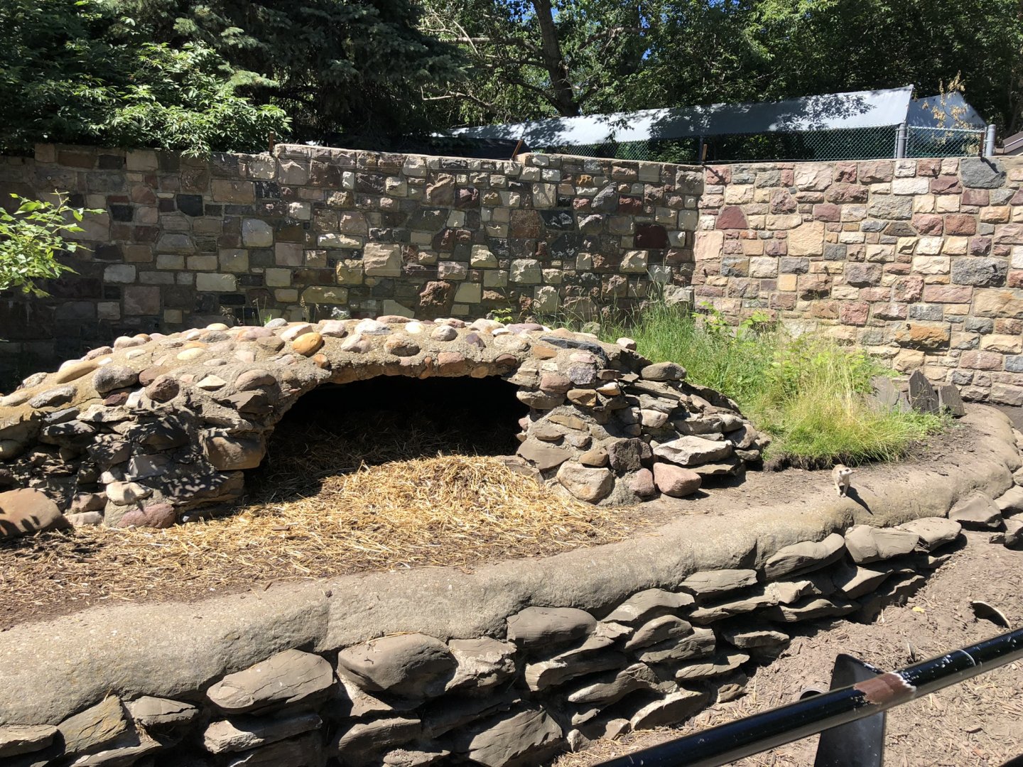 Slender-tailed Meerkat Enclosure at Edmonton Valley Zoo (July 2022)
