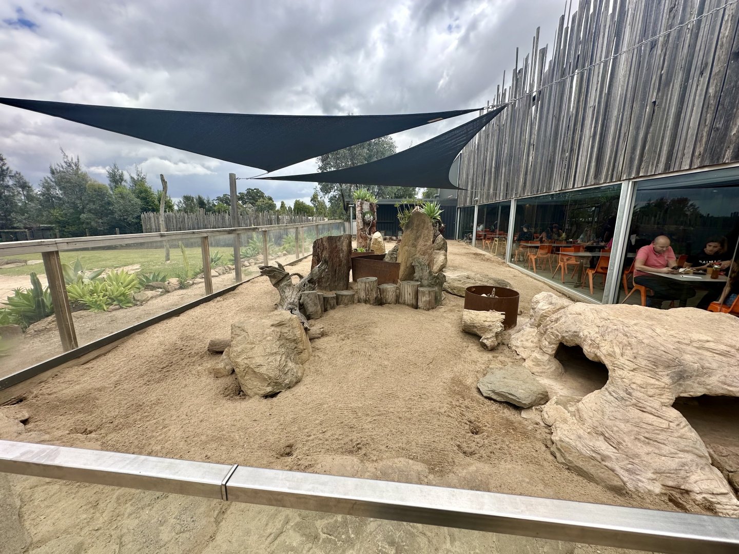 Slender-Tailed Meerkat Exhibit 1