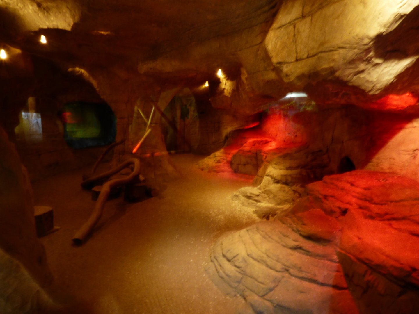 Slender-Tailed Meerkat indoor enclosure view