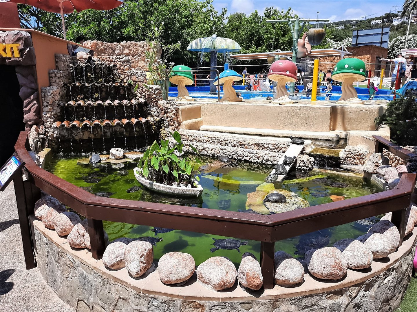 Slider (turtle) enclosure