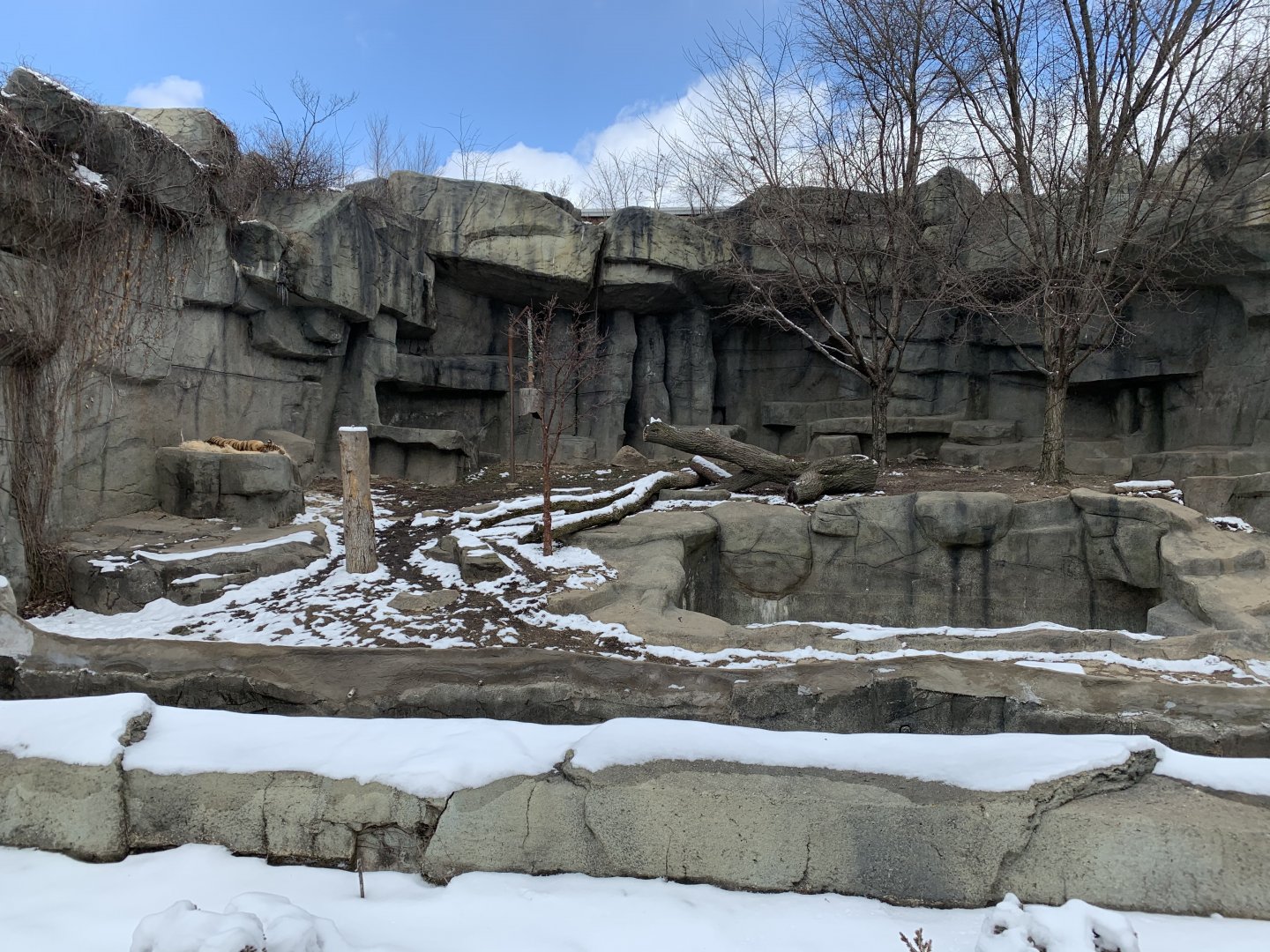 Slightly raised rock by the moat in the tiger exhibit