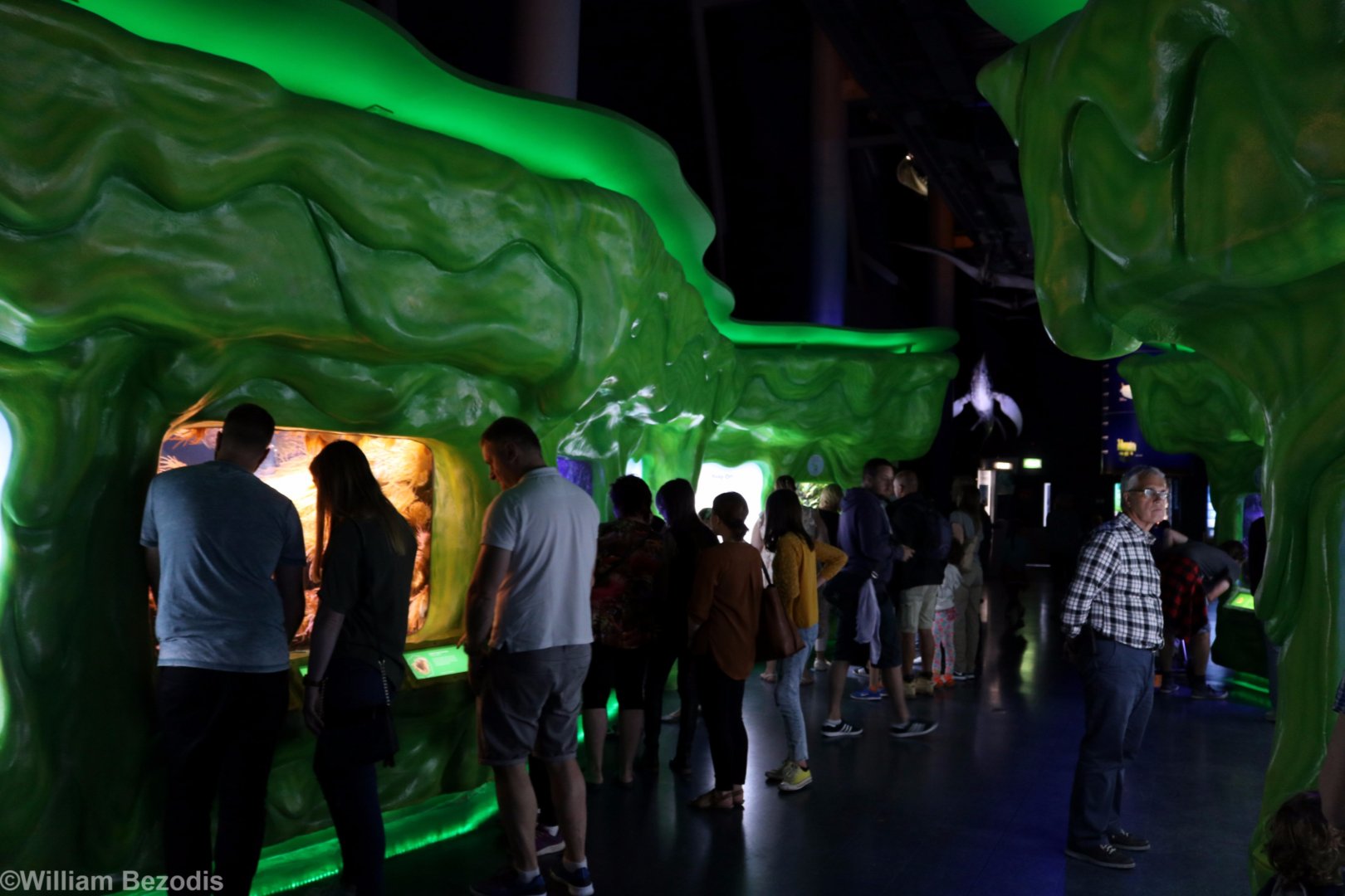 Slime Exhibit (very busy)