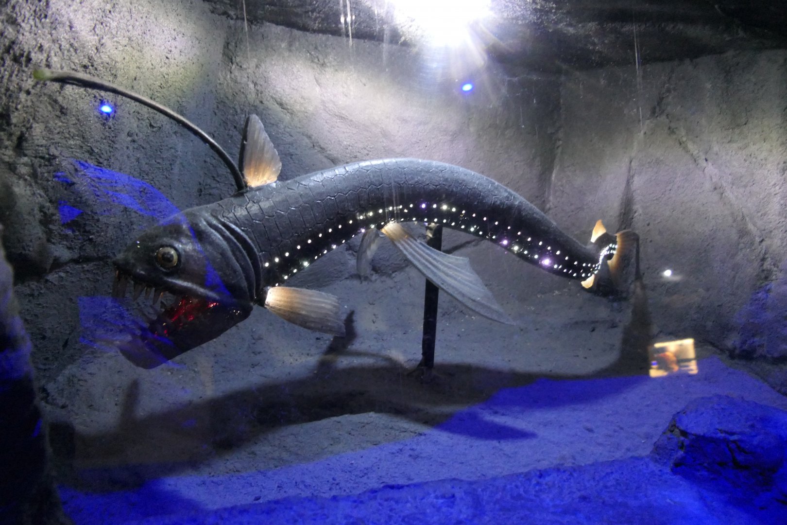 Sloane's Viperfish model