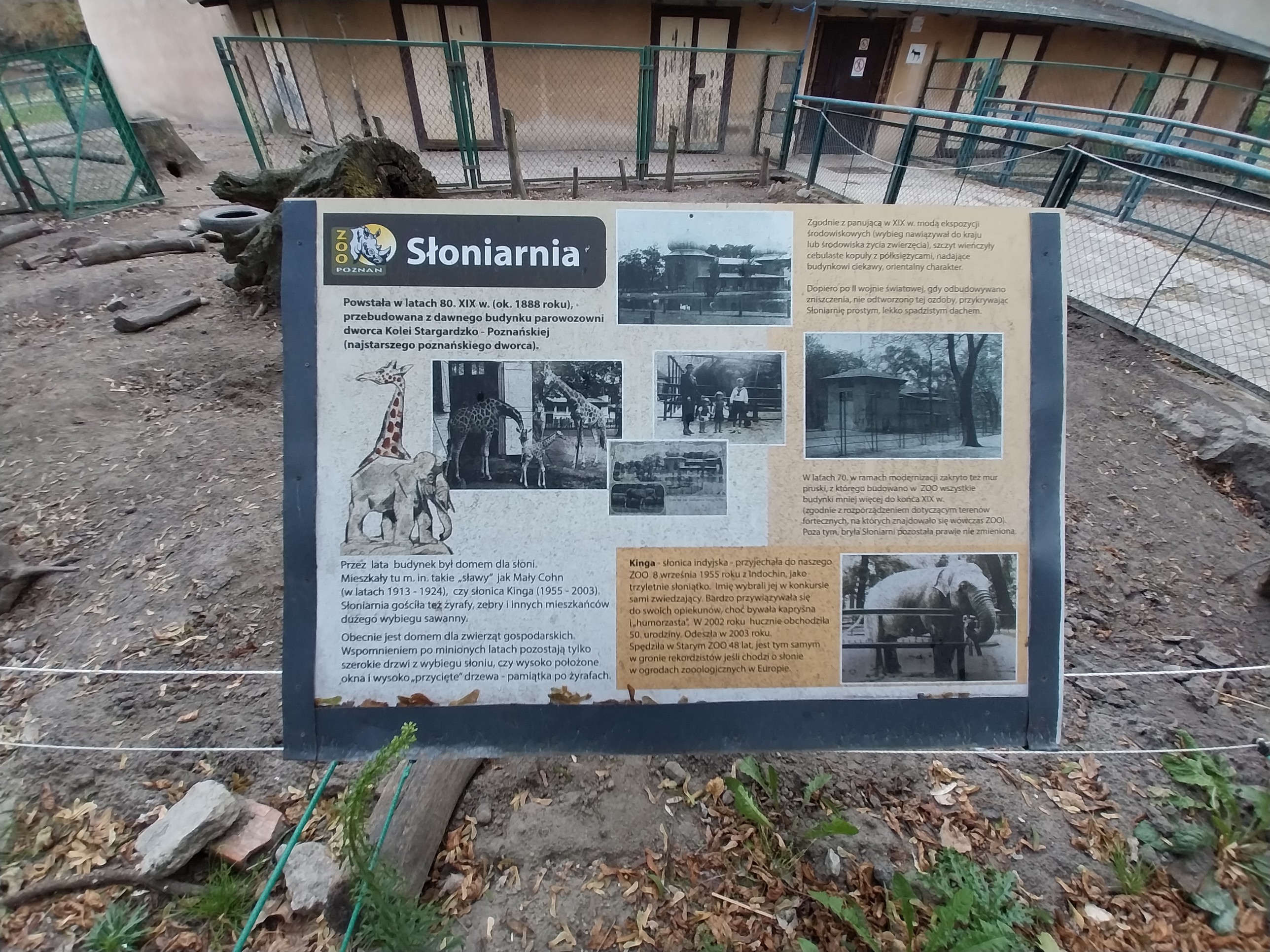 Sloniarnia (Former Pachyderm building)