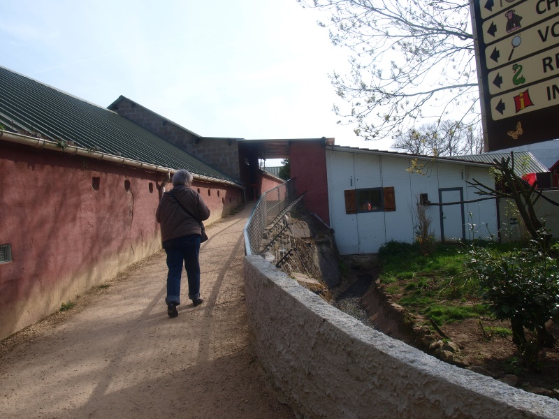 Sloped path (April 19th, 2015)