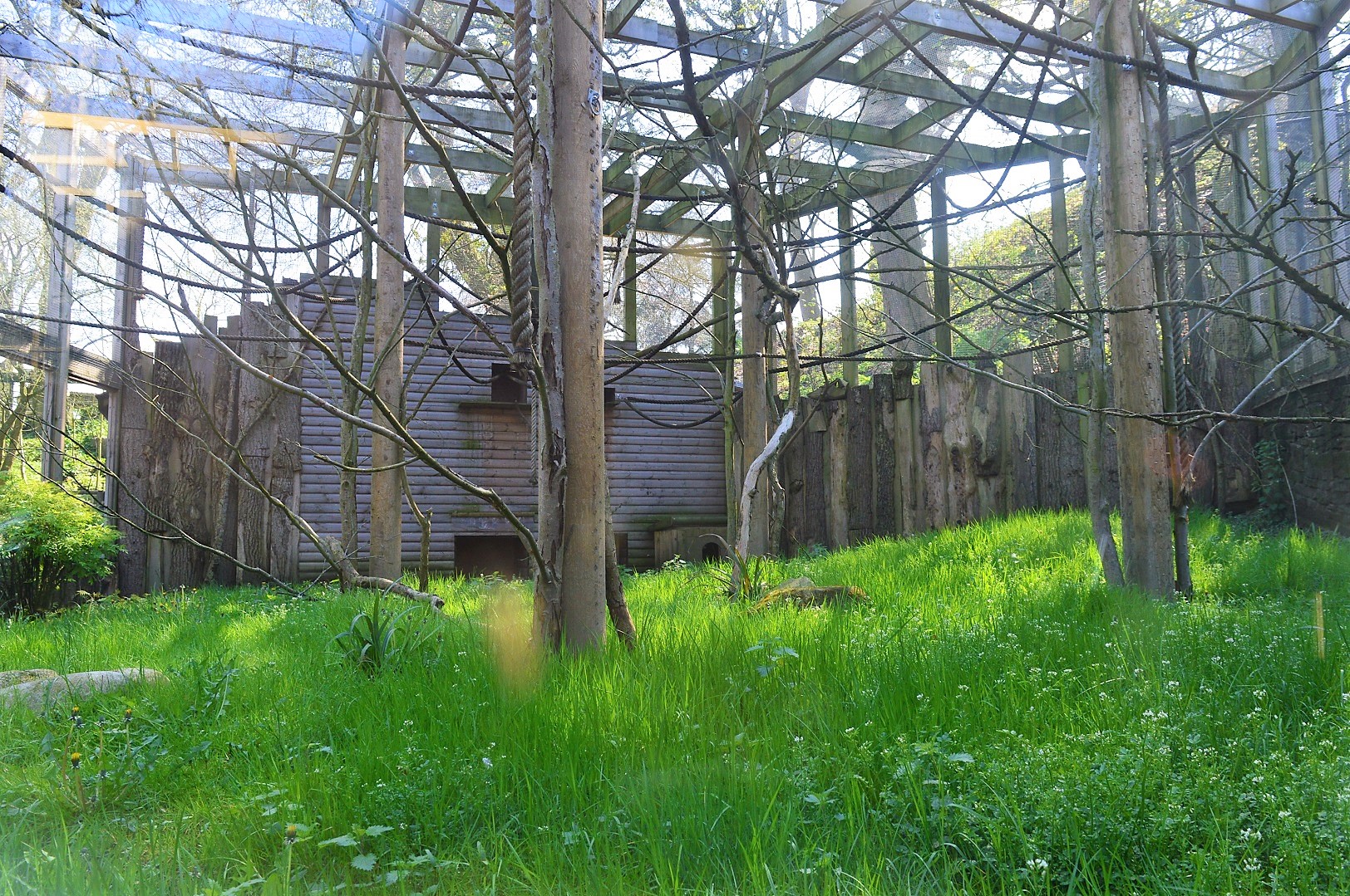 Sloth, agouti, and small primate exhibiit.