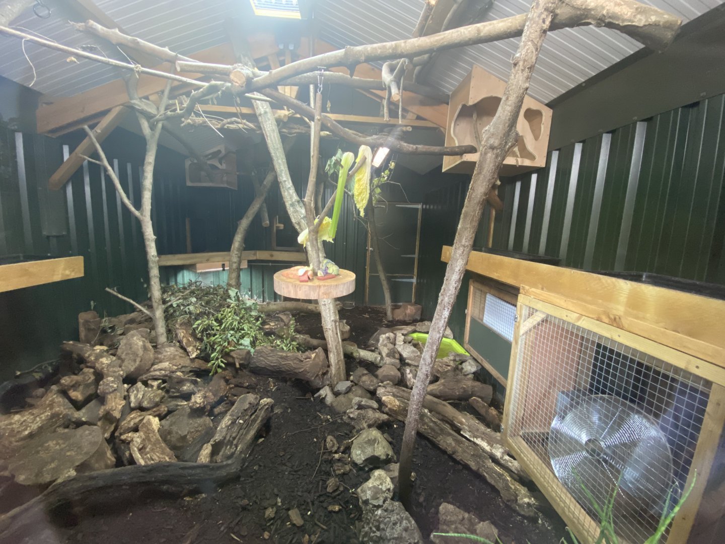 Sloth and armadillo enclosure