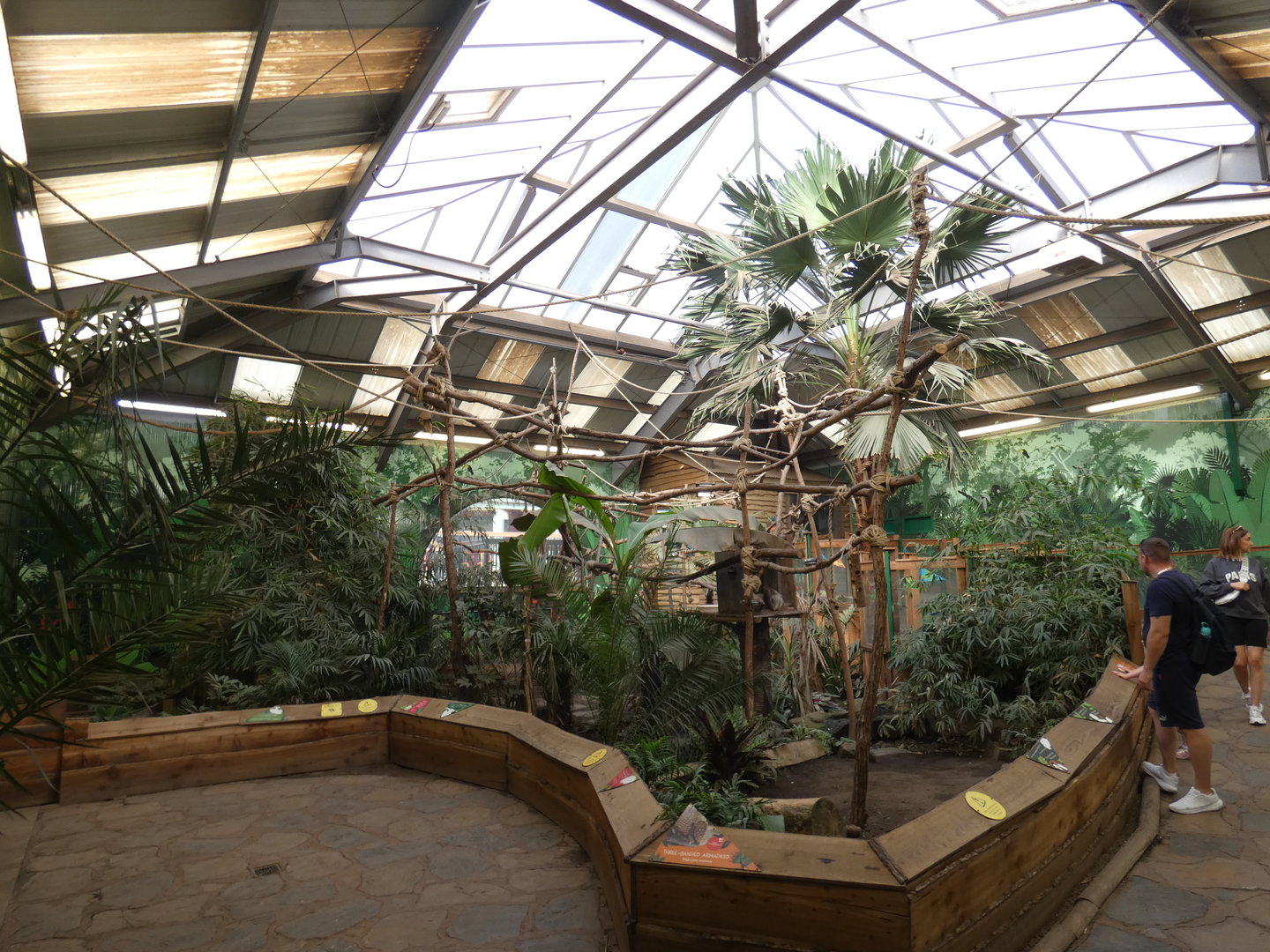 Sloth and armadillo house