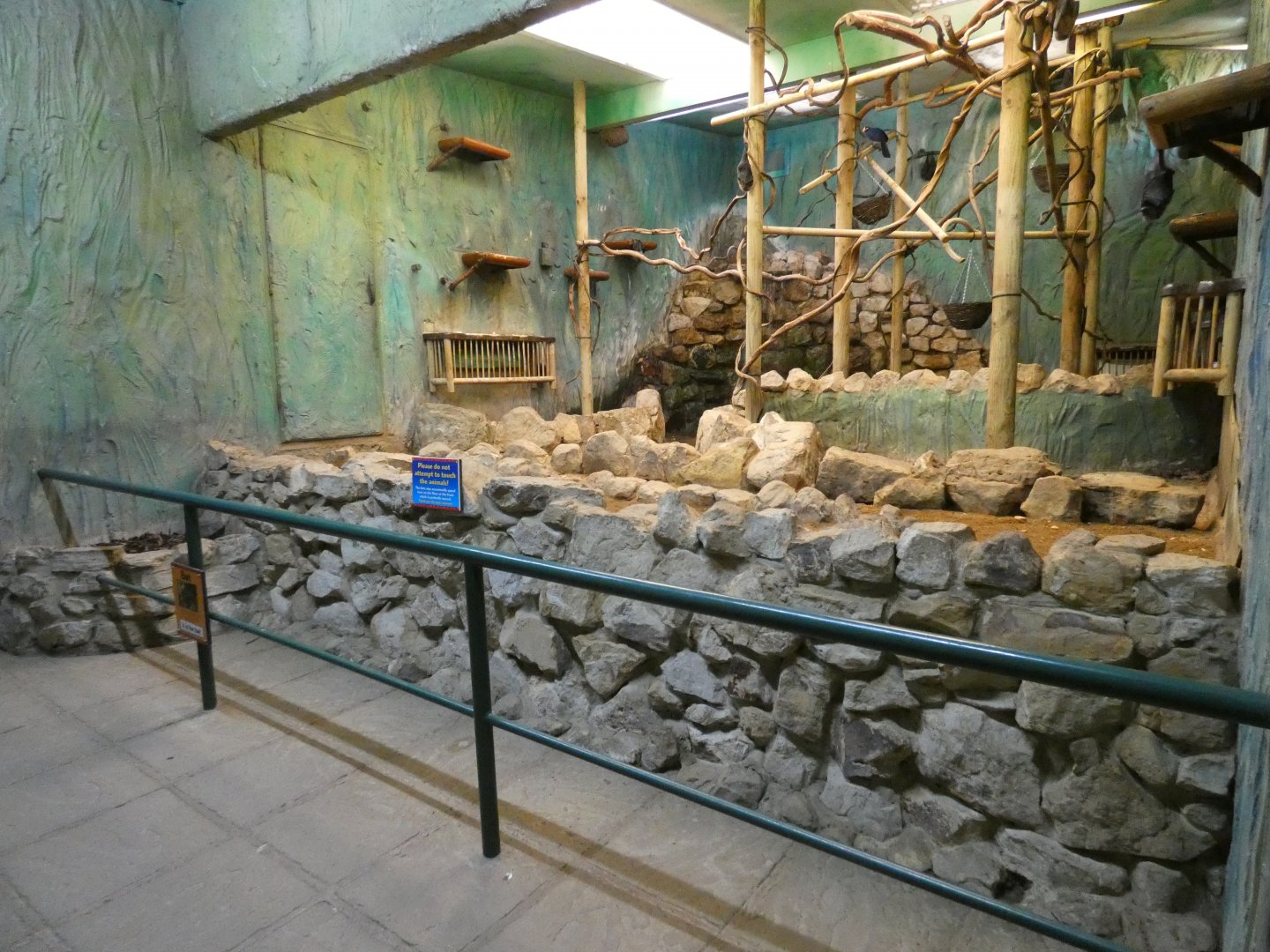 Sloth and bat walk-through enclosure