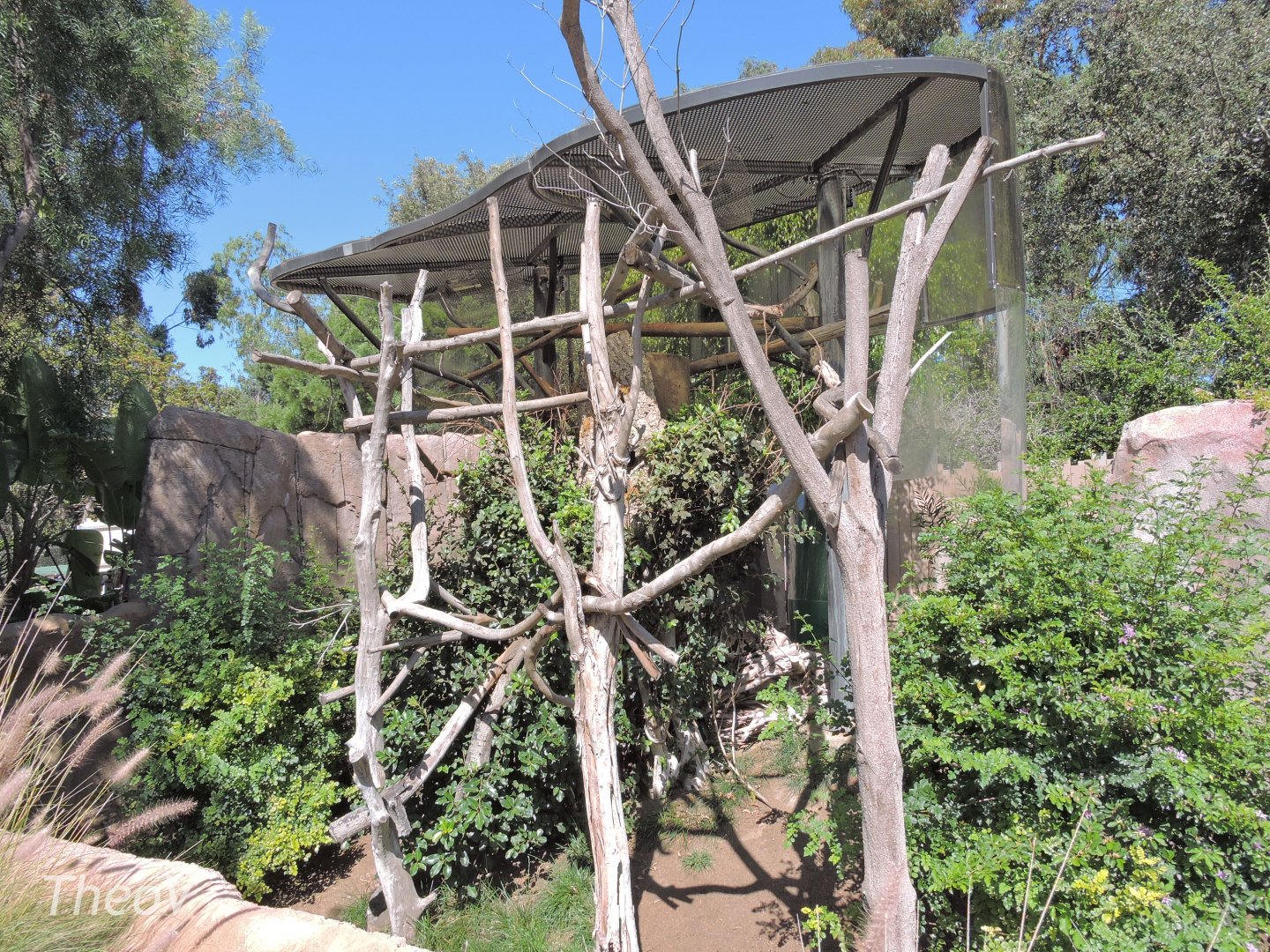 Sloth and dik-dik exhibit - Elephant Odyssey [2015]