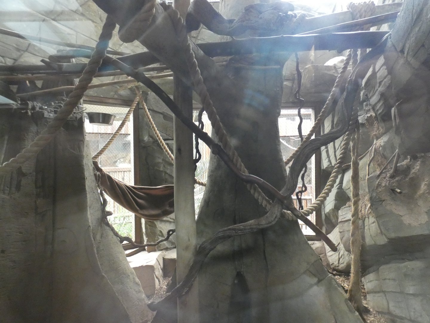 Sloth and Tamandua enclosure