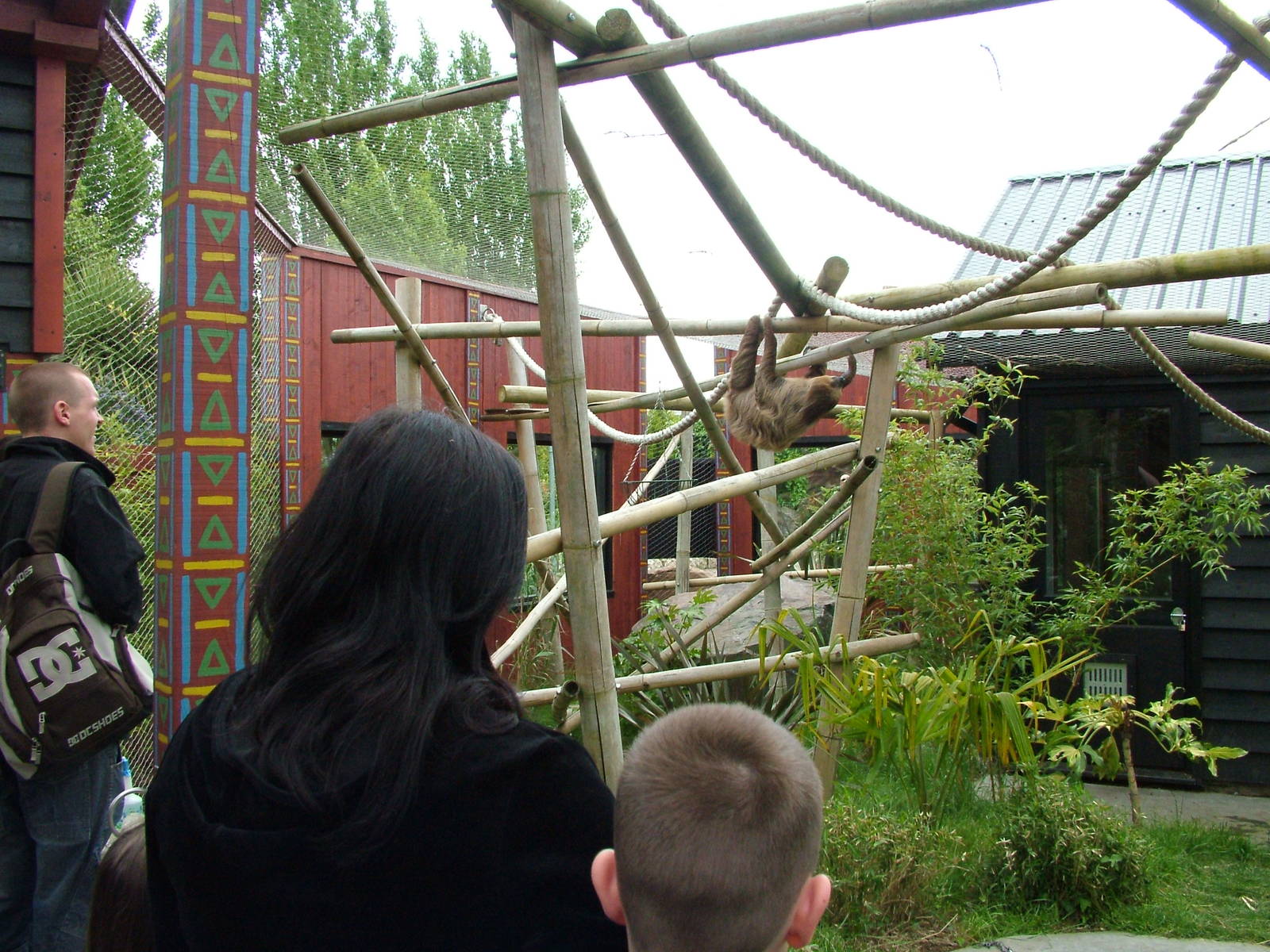 Sloth and Tamarin Walk-through at Colchester 09/05/09