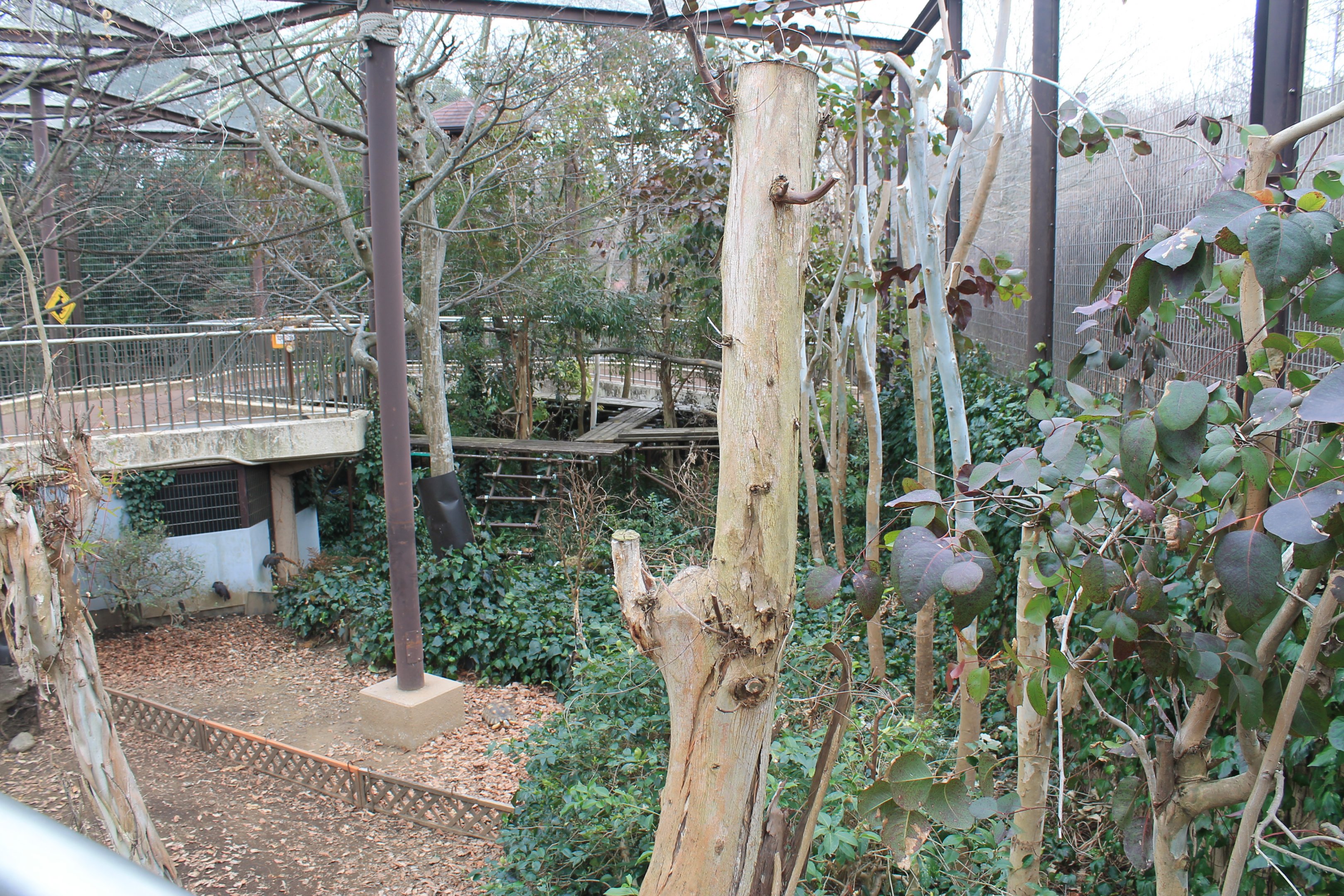Sloth and tortoise enclosure - Saitama Childrens Zoo