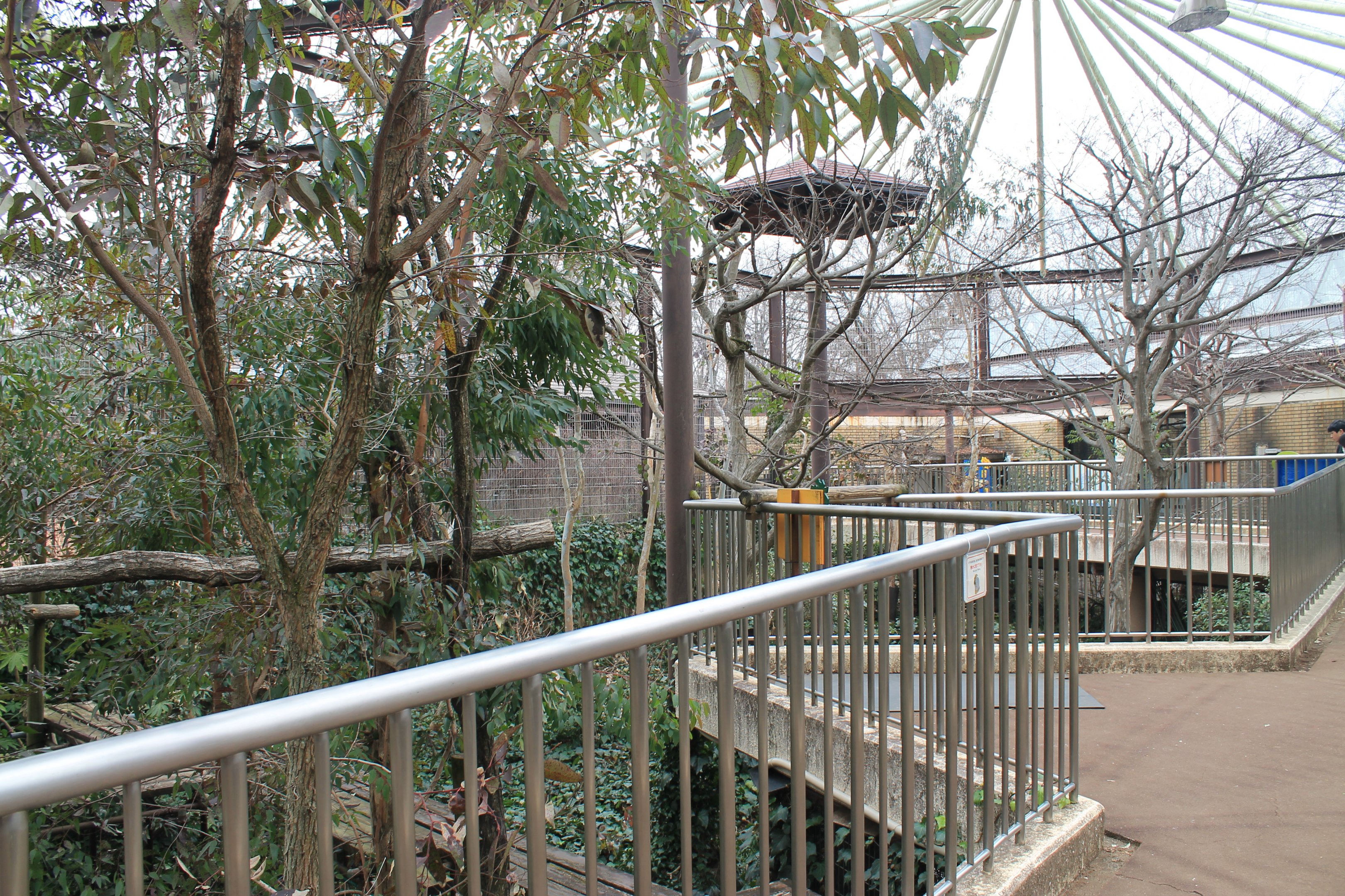 Sloth and tortoise enclosure - Saitama Childrens Zoo