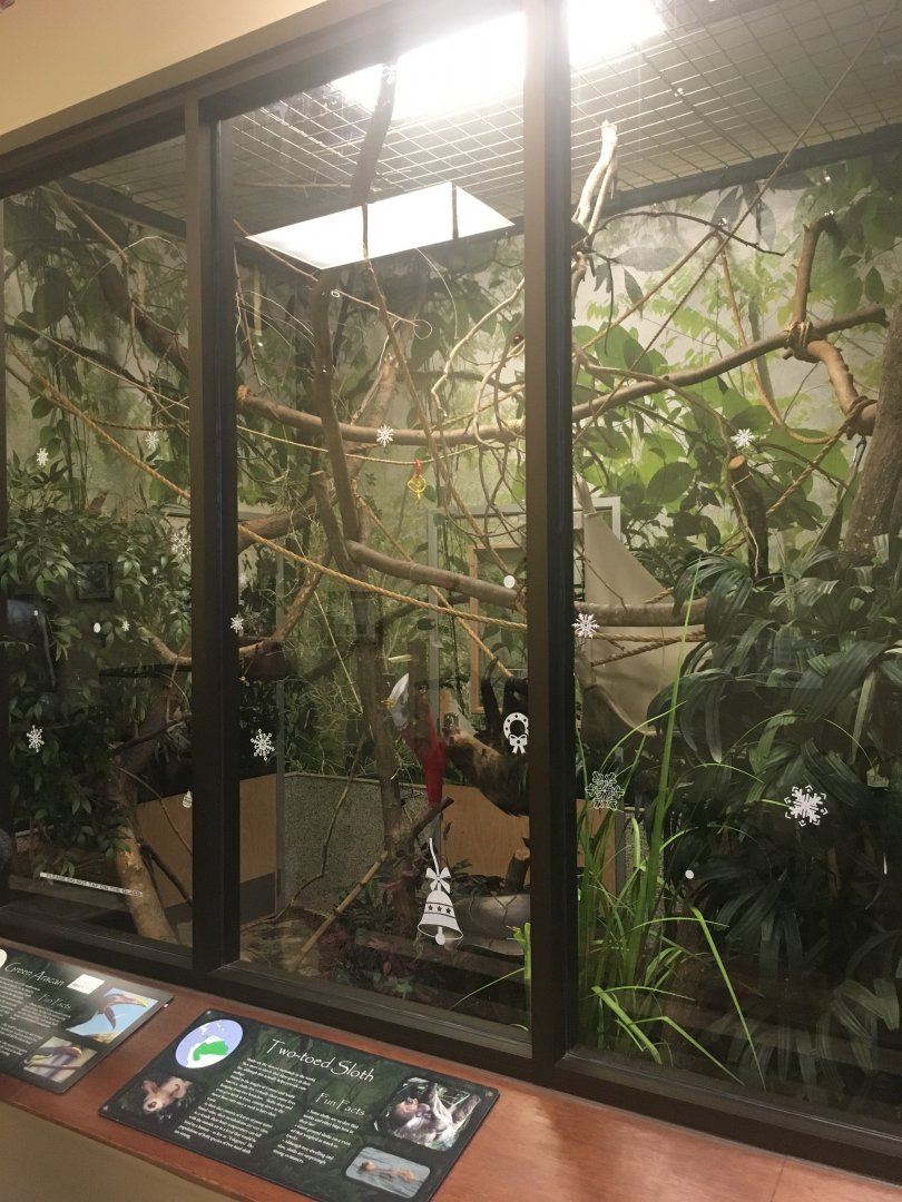 Sloth + Aracari Enclosure