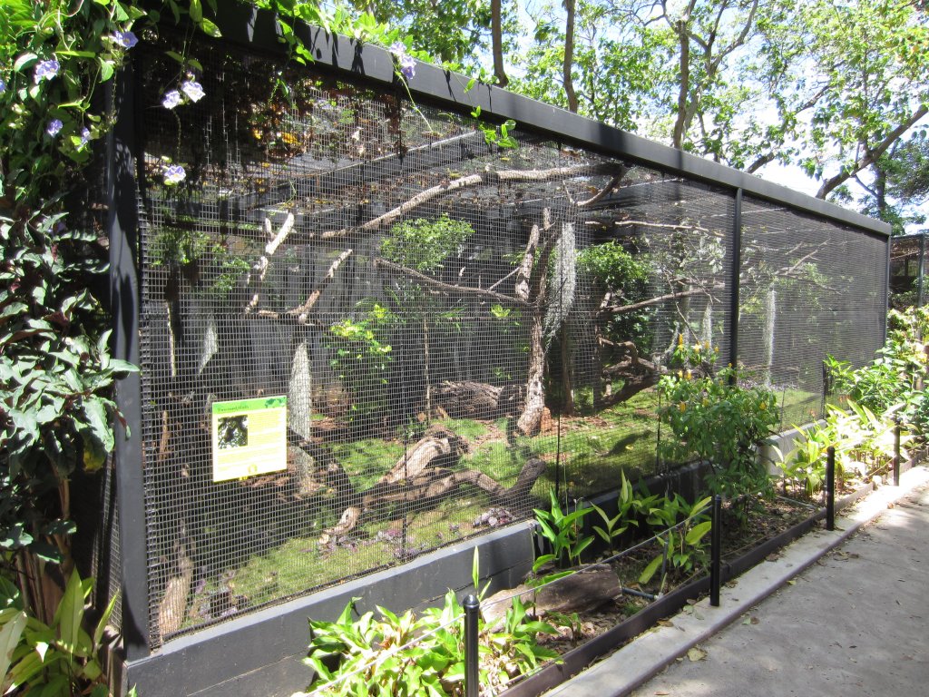 Sloth Aviary