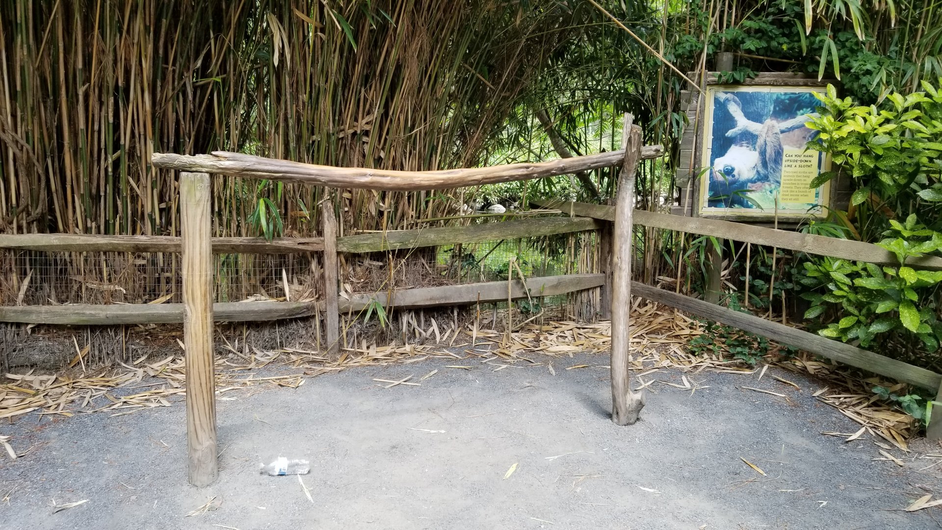 Sloth bar for children to hang on