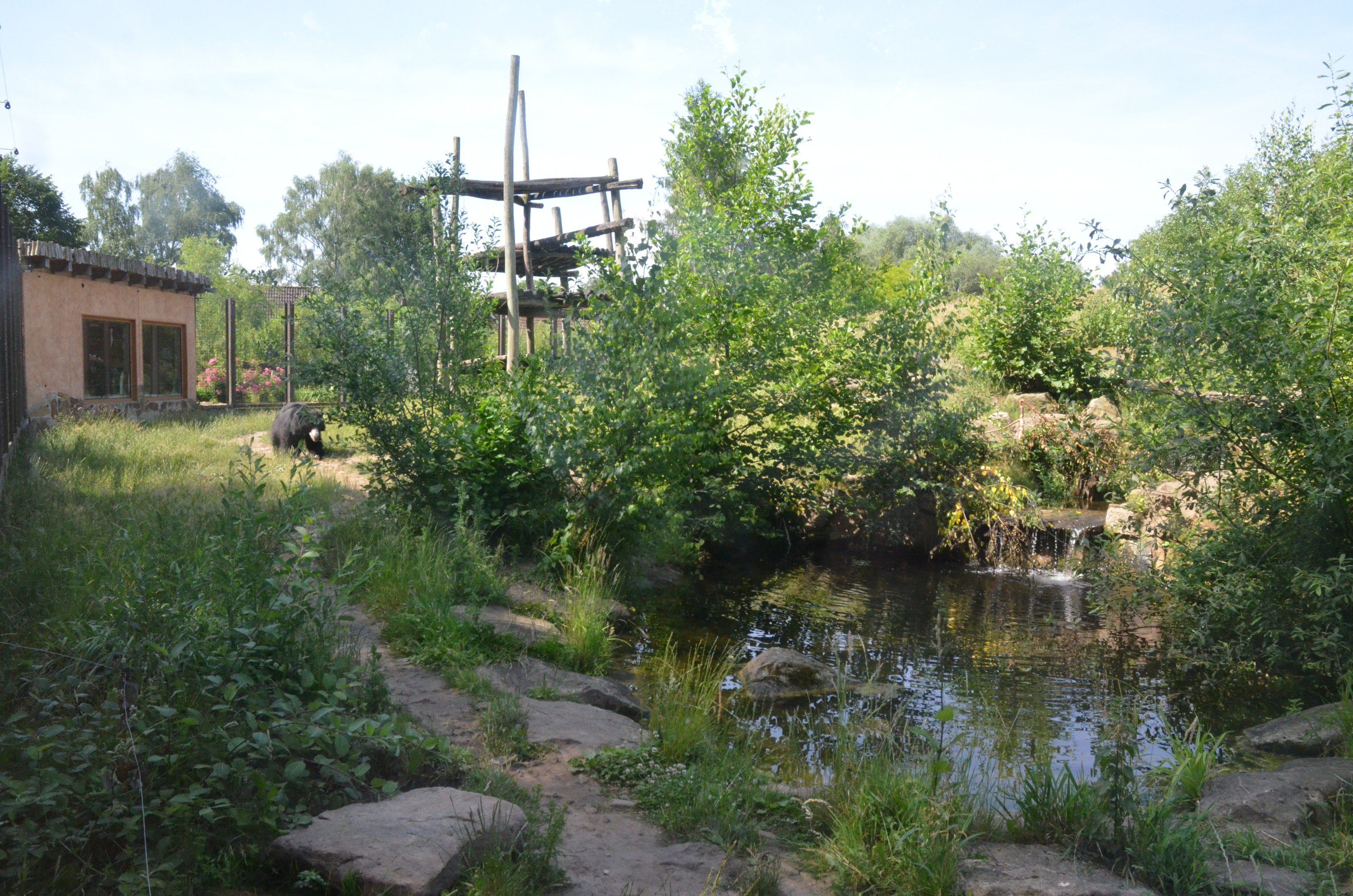 Sloth Bear and Golden Jackal Enclosure at Rheine, 18/06/19