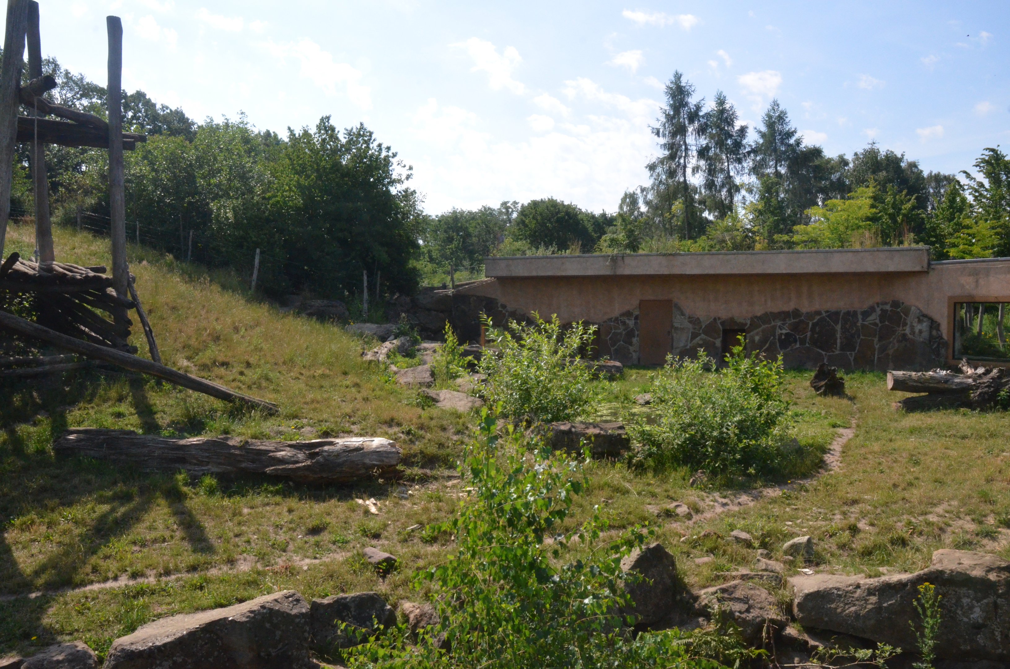 Sloth Bear and Golden Jackal Enclosure at Rheine, 18/06/19