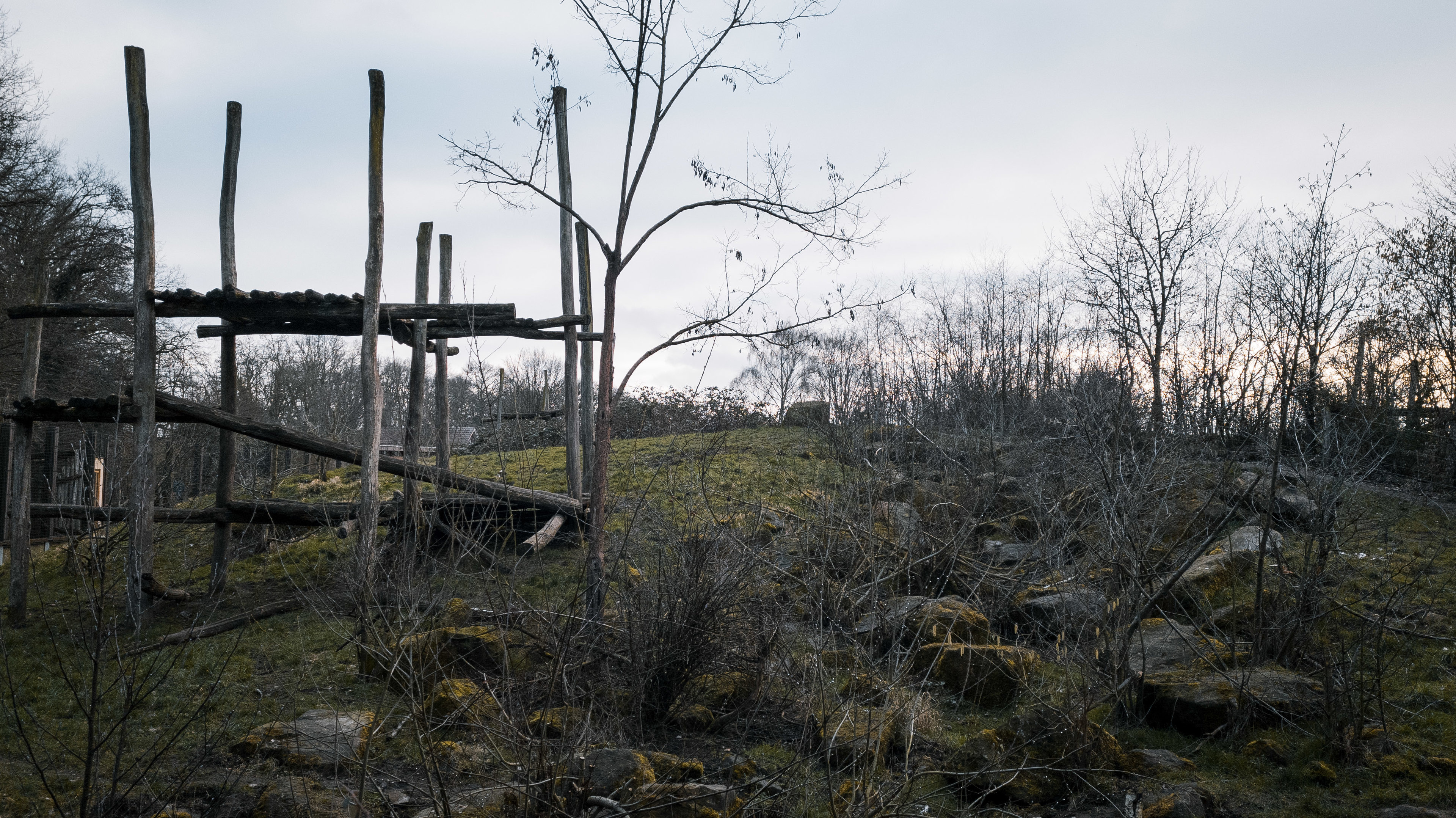 Sloth Bear enclosure 1