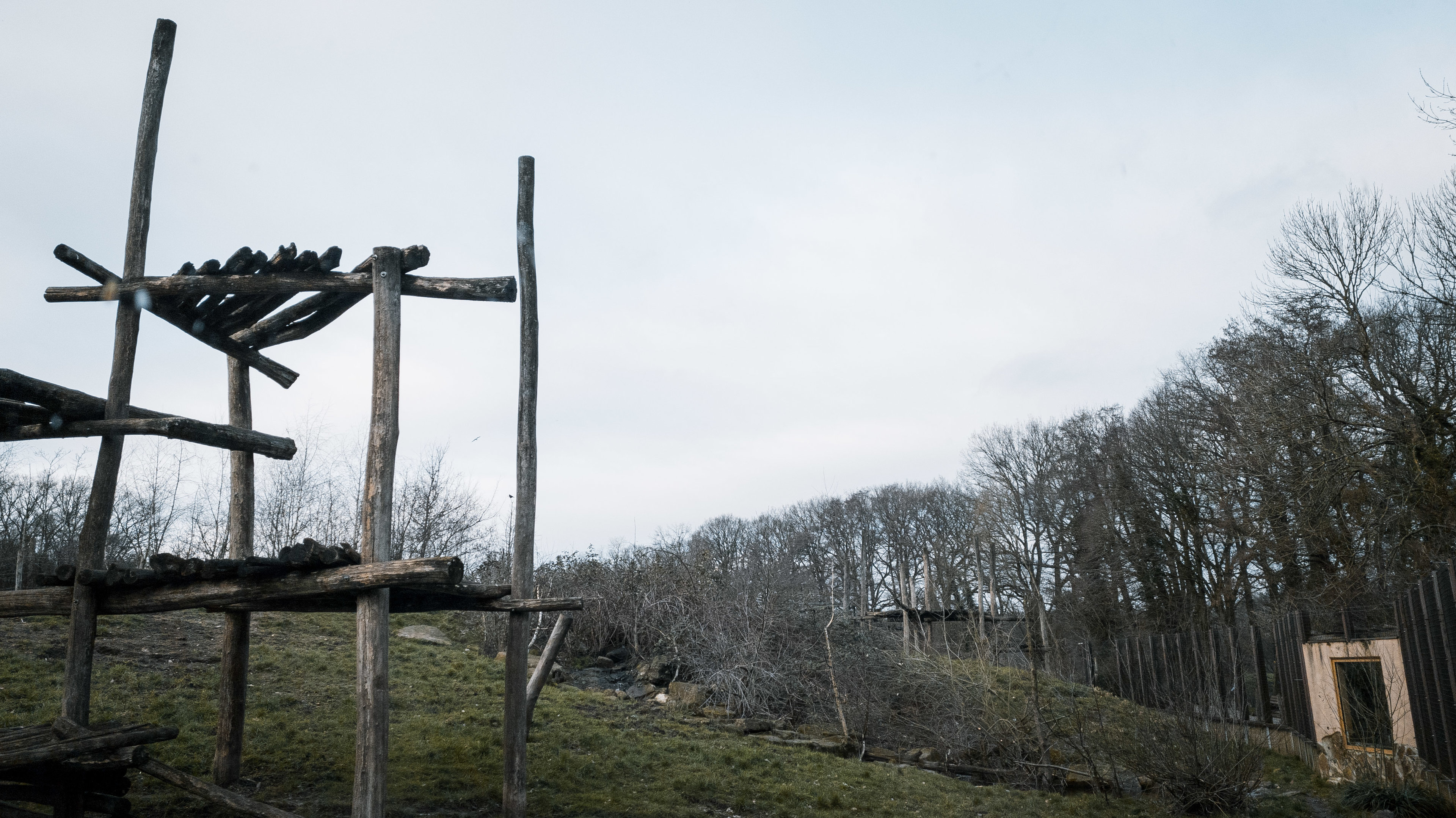 Sloth Bear enclosure 1