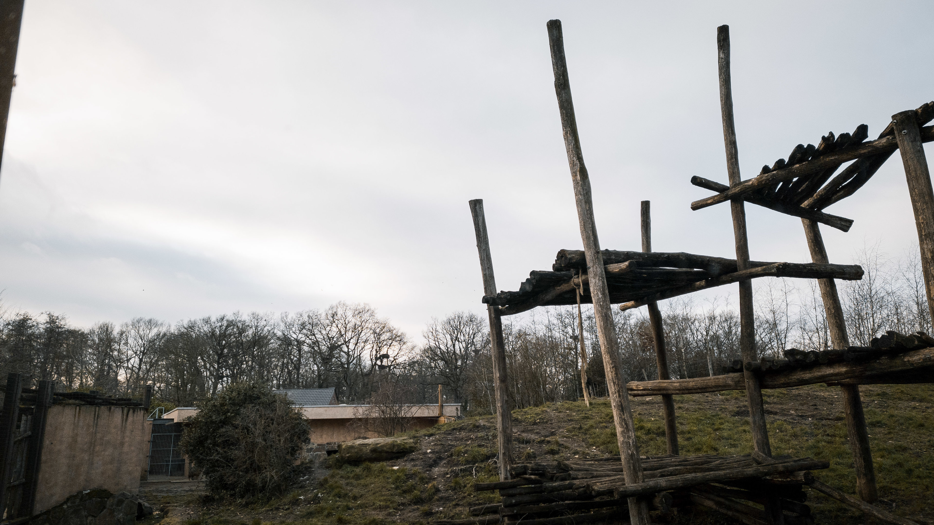 Sloth Bear enclosure 1