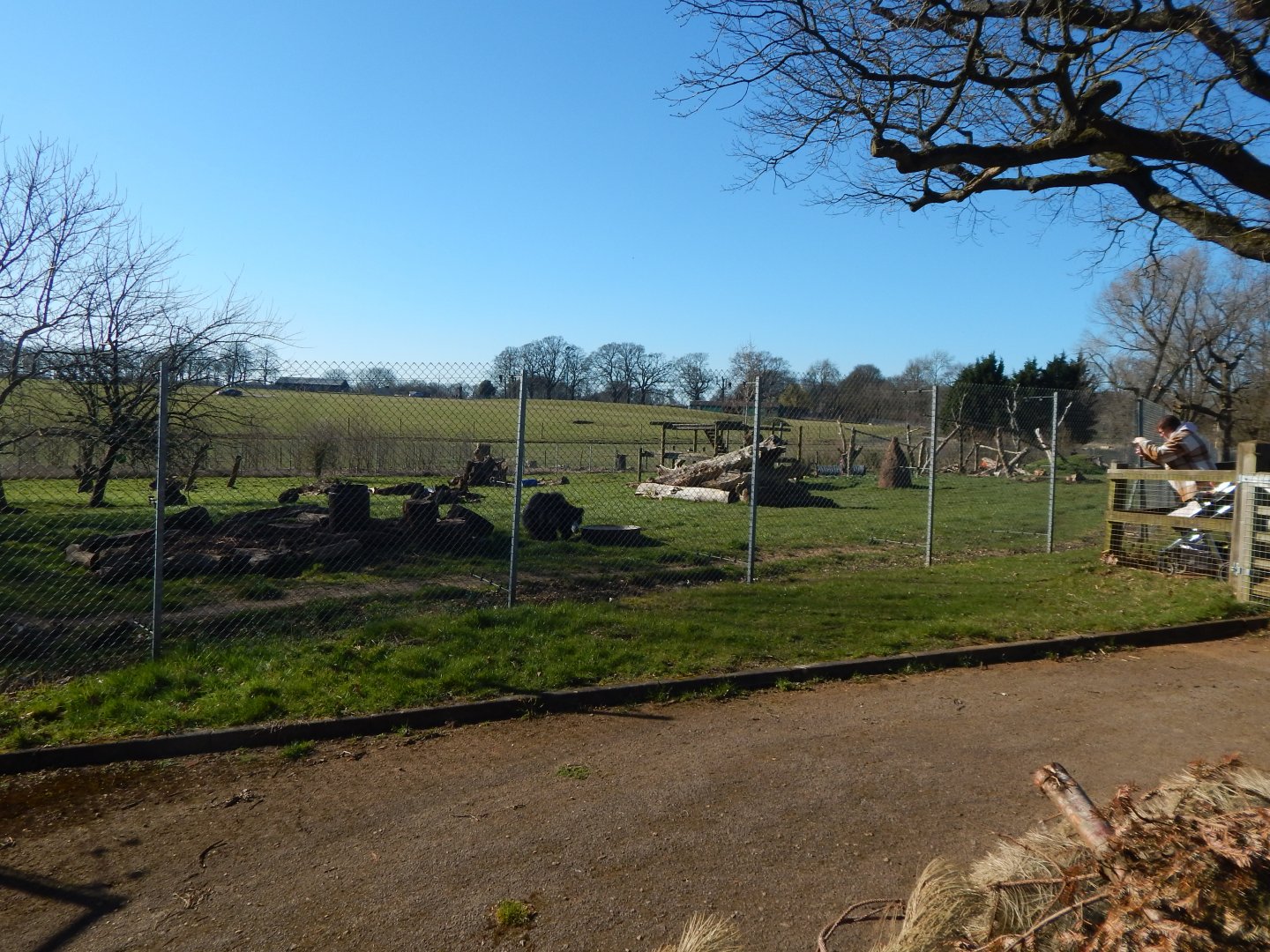 Sloth bear enclosure 190322