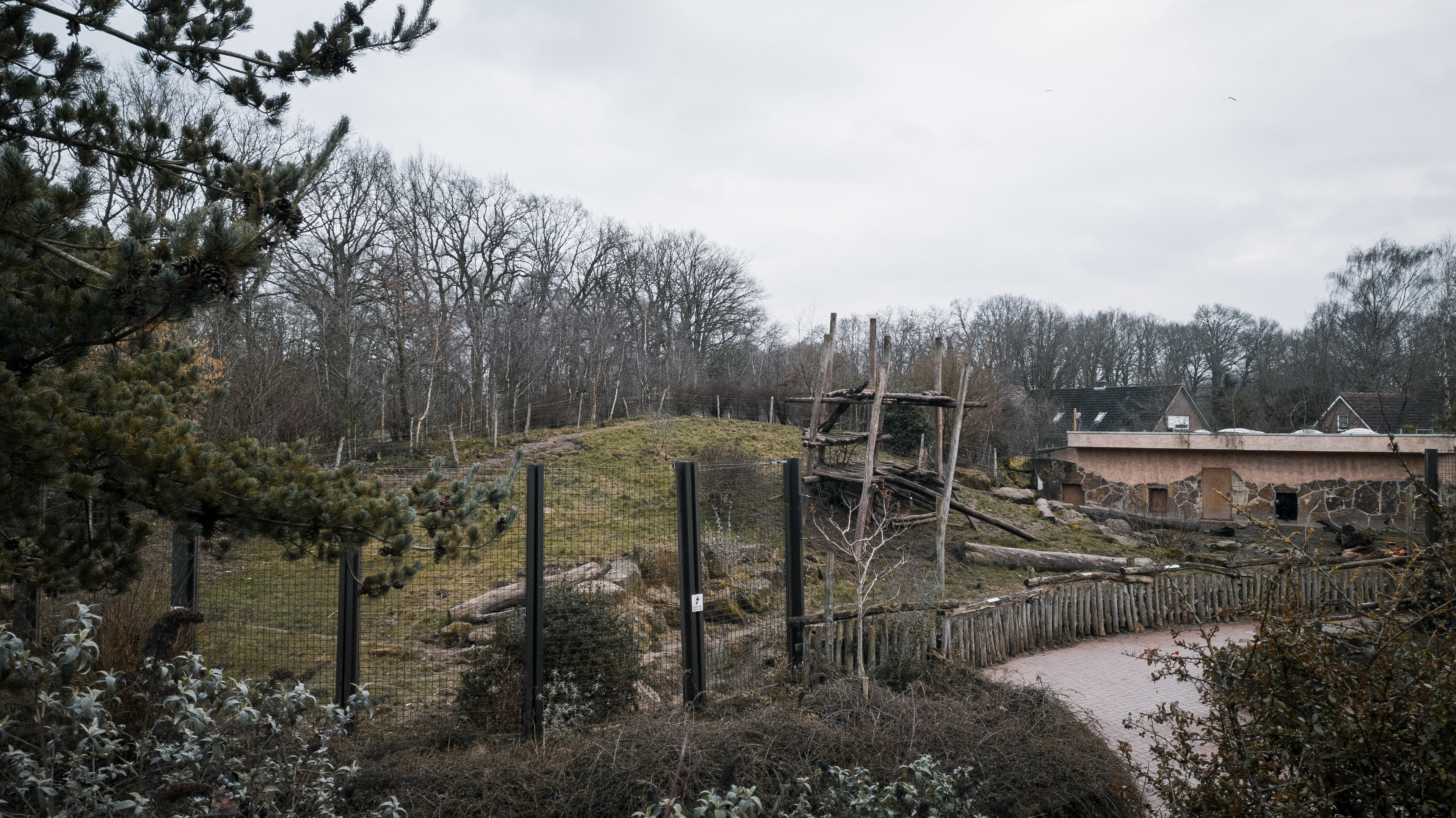 Sloth Bear enclosure 2