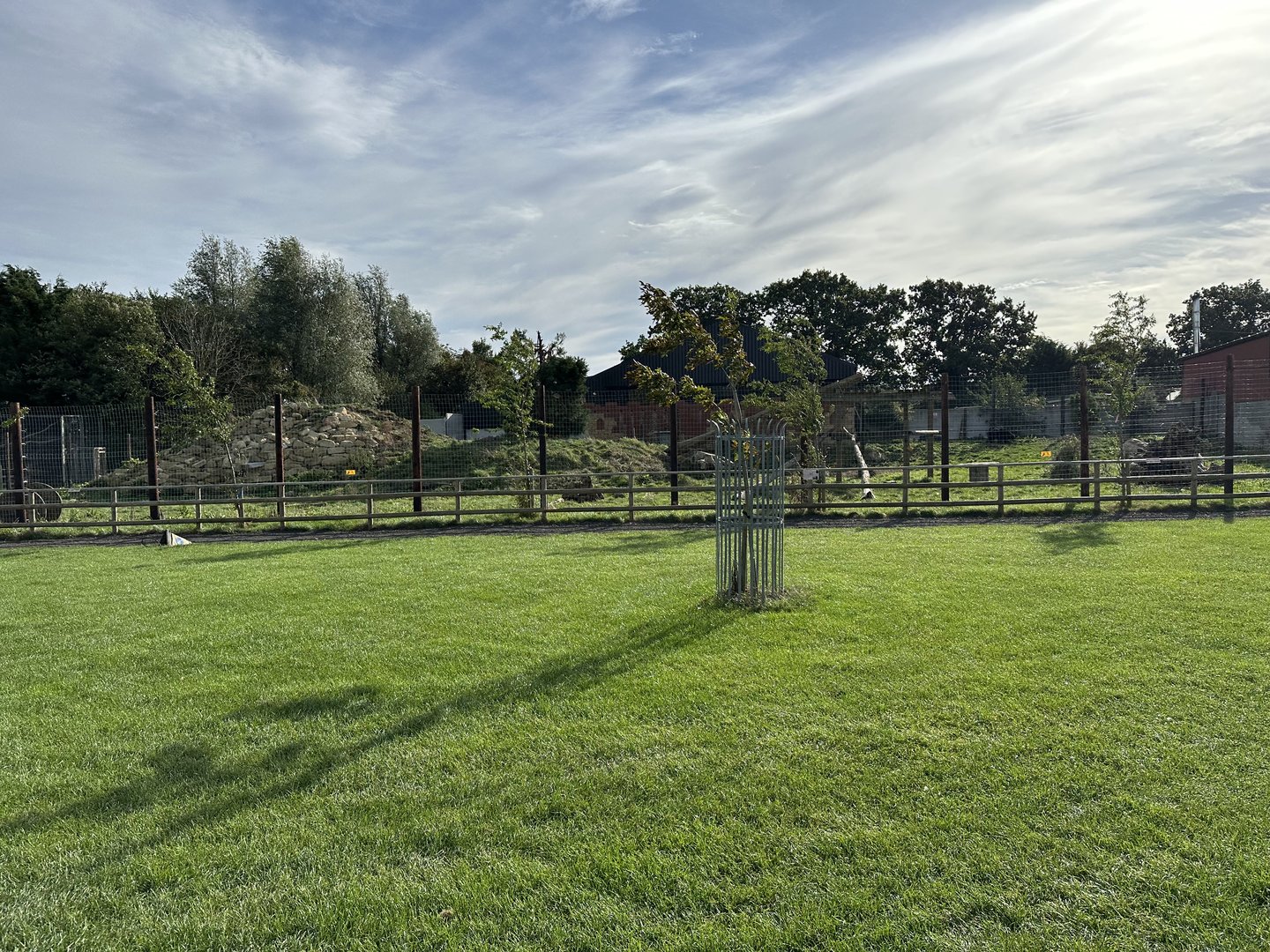 Sloth Bear Enclosure at Johnsons of Old Hurst (October 2023)