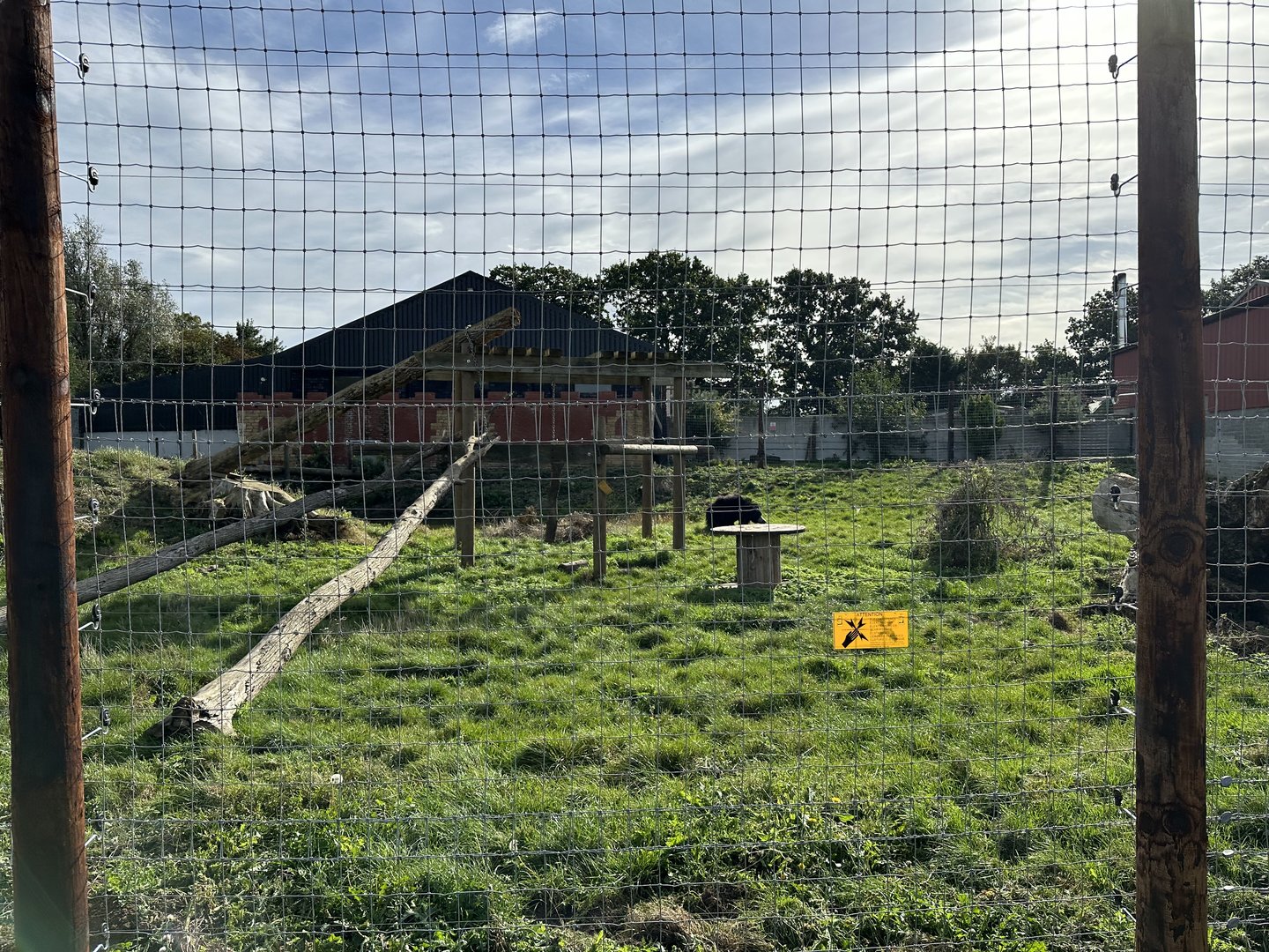 Sloth Bear Enclosure at Johnsons of Old Hurst (October 2023)