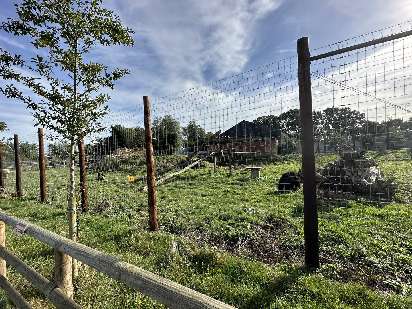 Sloth Bear Enclosure at Johnsons of Old Hurst (October 2023)