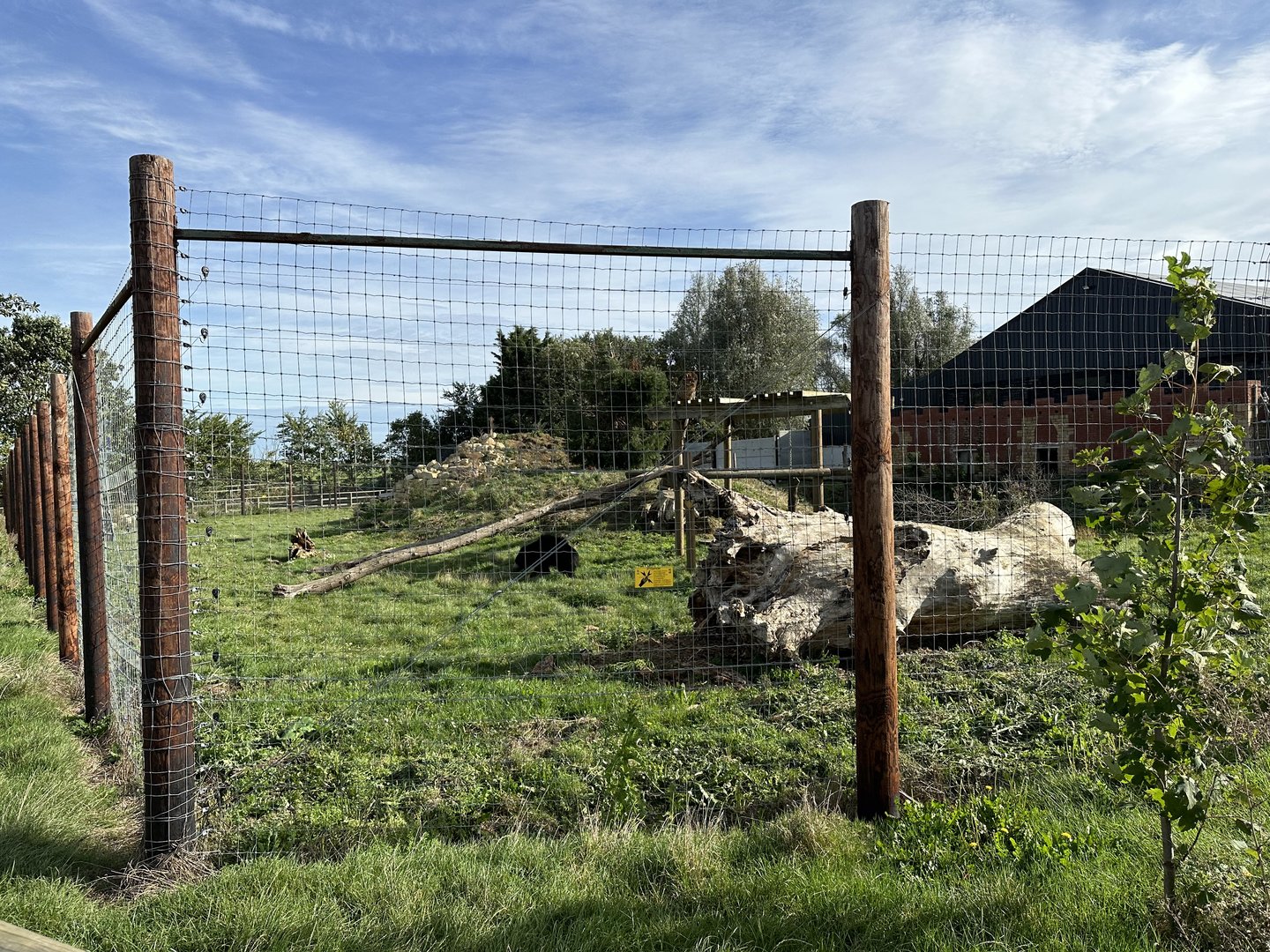 Sloth Bear Enclosure at Johnsons of Old Hurst (October 2023)