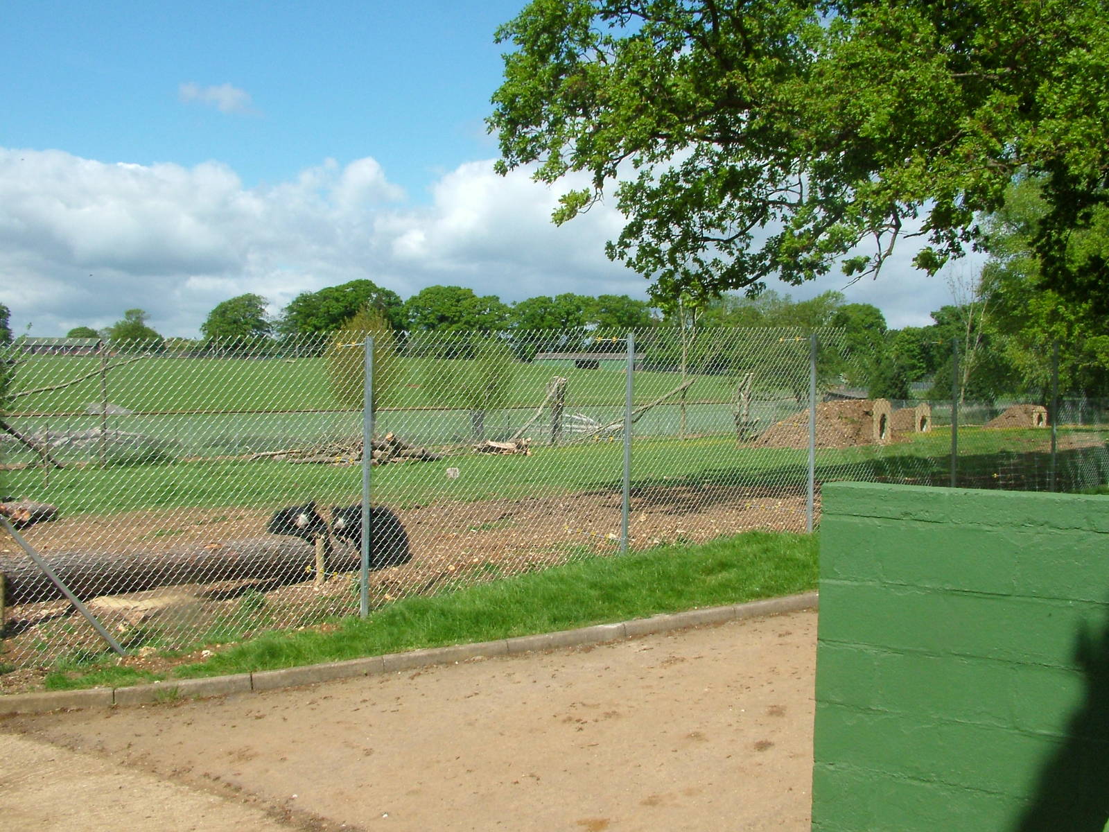 Sloth Bear Enclosure at Whipsnade 18/05/08