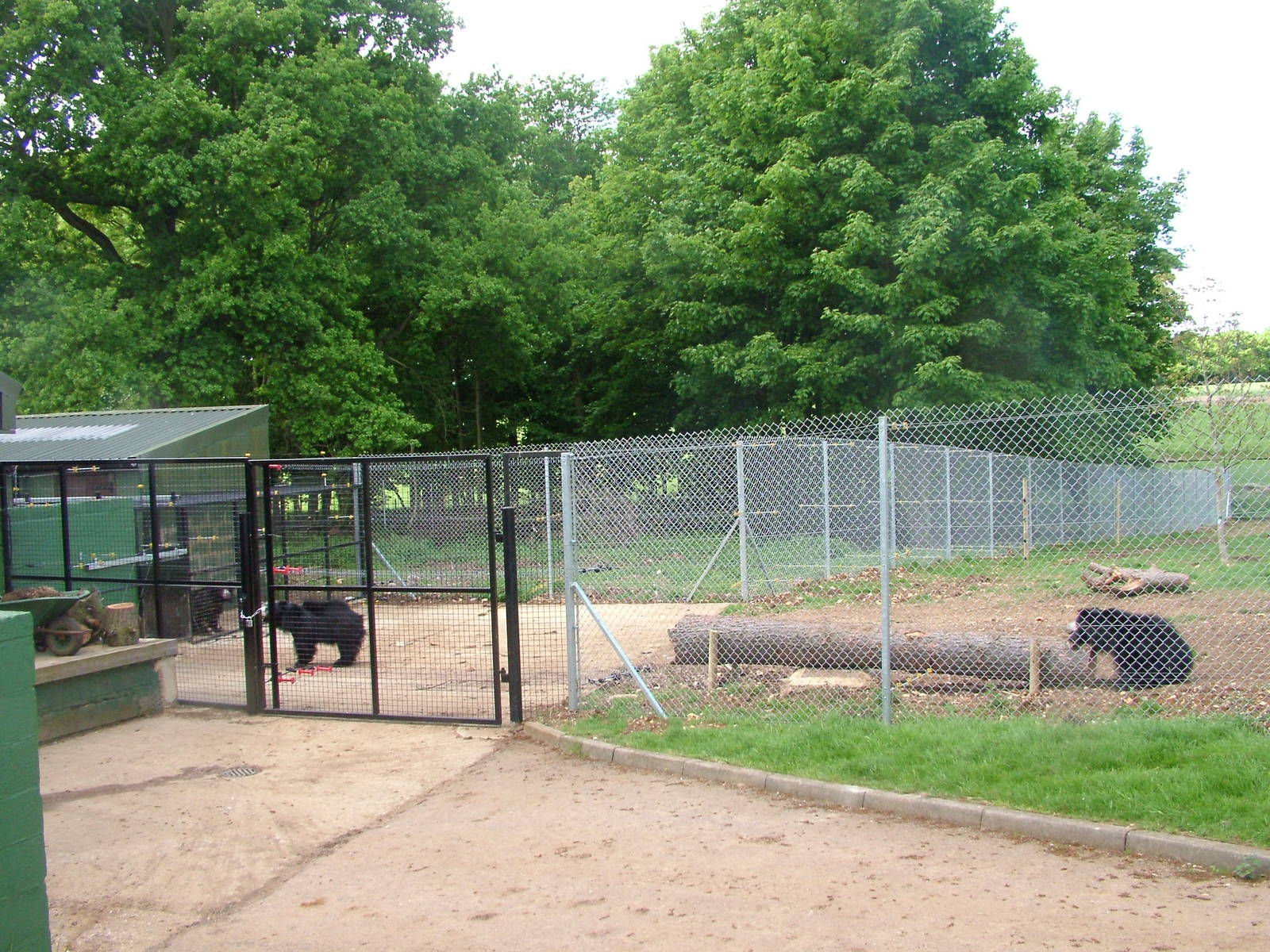 Sloth Bear Enclosure at Whipsnade 18/05/08