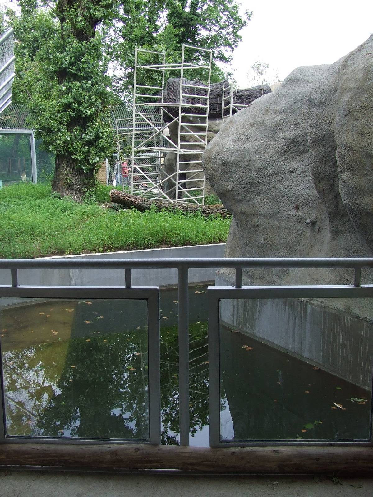 Sloth bear enclosure is under construction @ Budapest Zoo