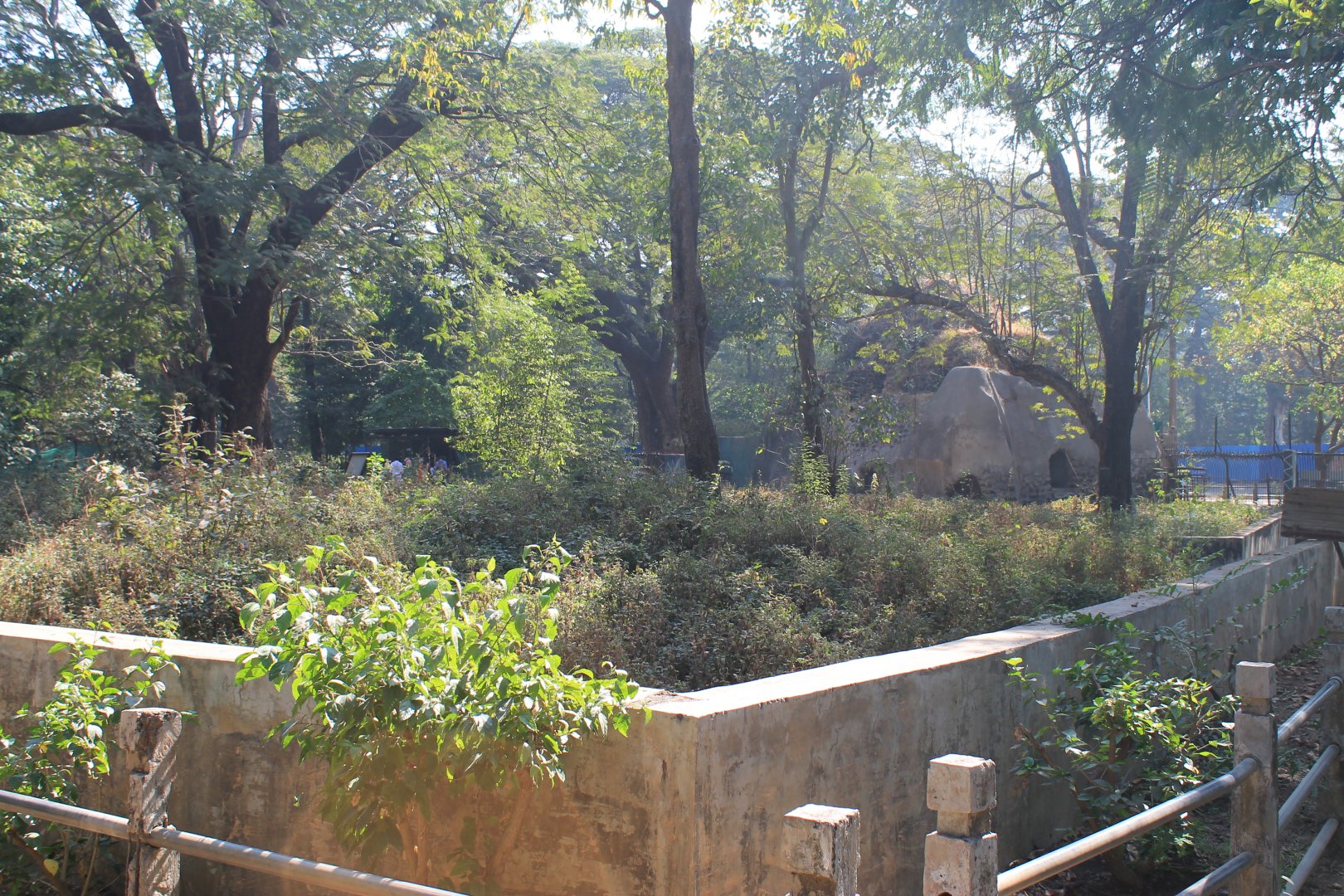 Sloth Bear enclosure, Mumbai Zoo