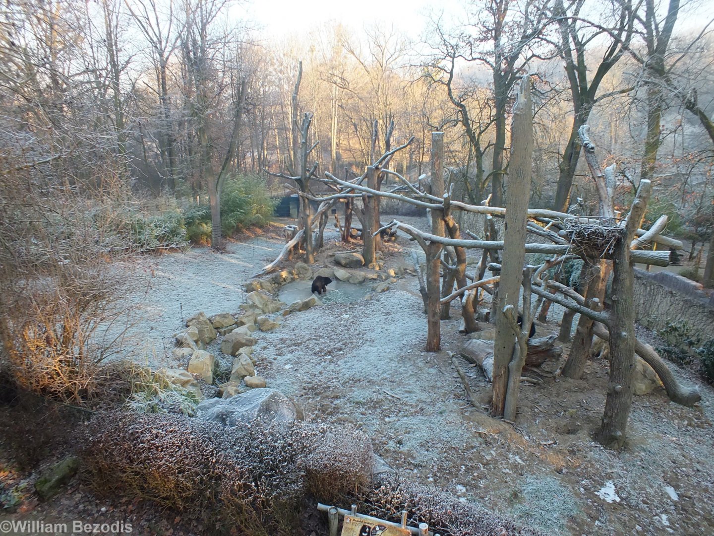 Sloth Bear Enclosure