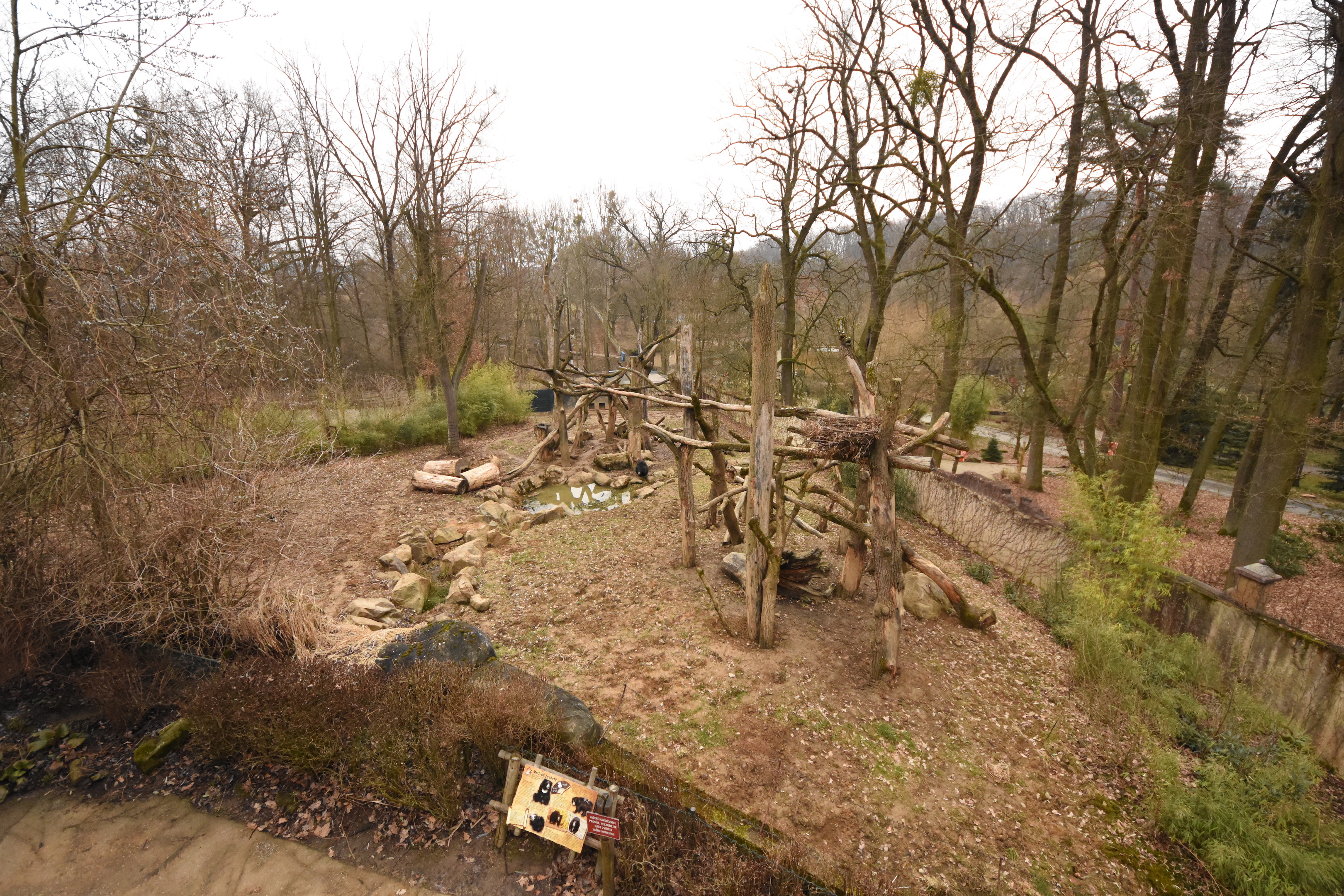 Sloth bear enclosure