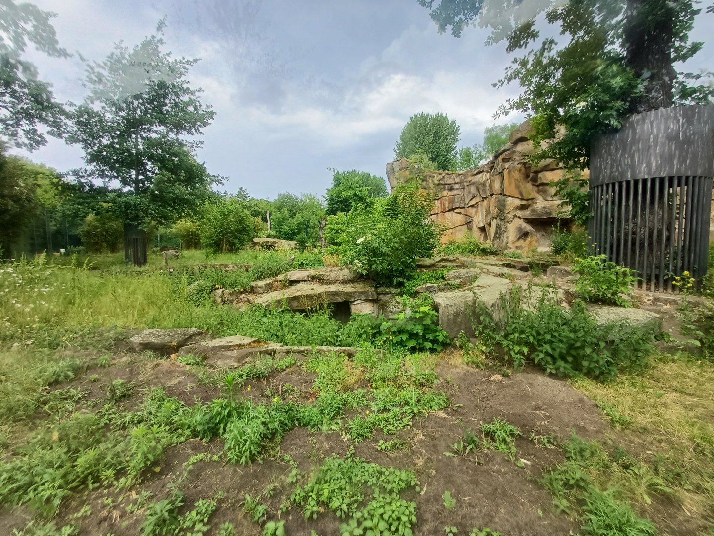 Sloth Bear- enclosure