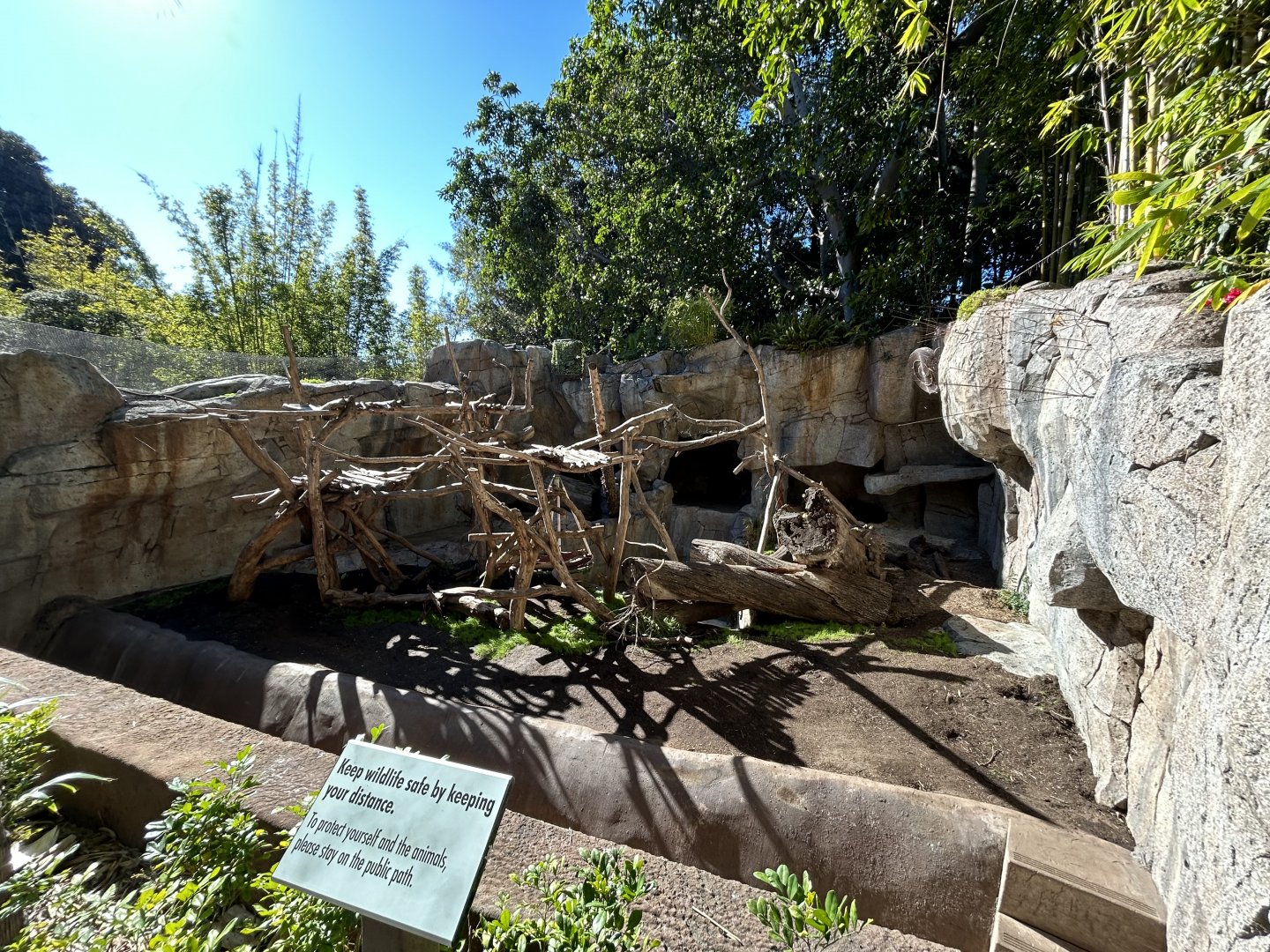 Sloth Bear Exhibit #1 - Bear Canyon