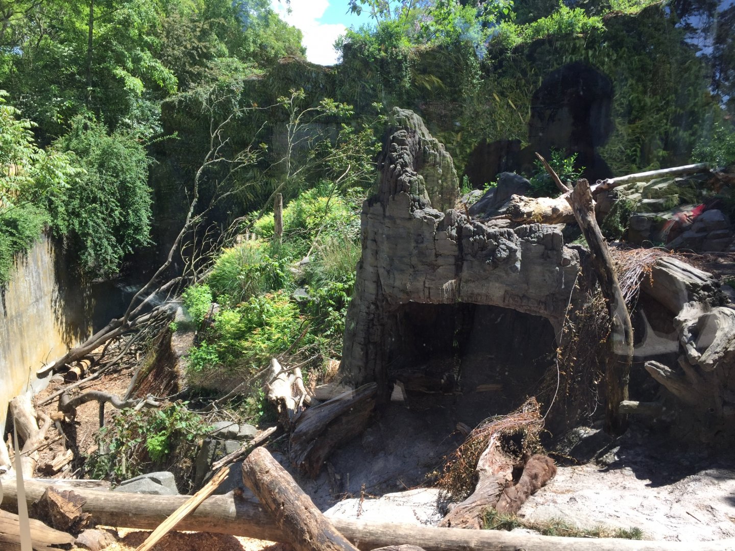 Sloth Bear Exhibit #1