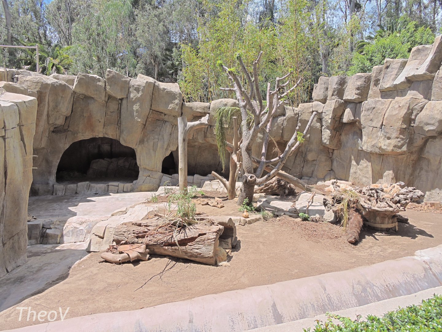 Sloth bear exhibit [2015]