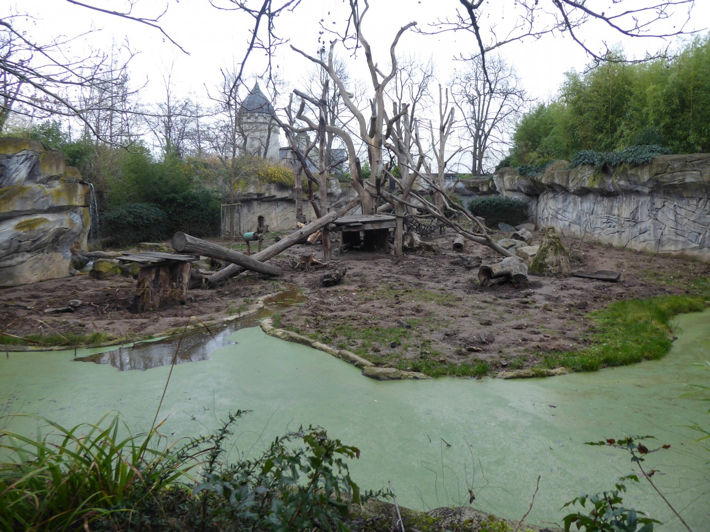 Sloth bear exhibit 280118