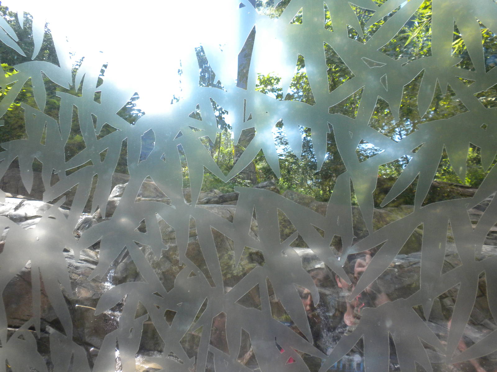 Sloth Bear Exhibit  [Asia Trail]