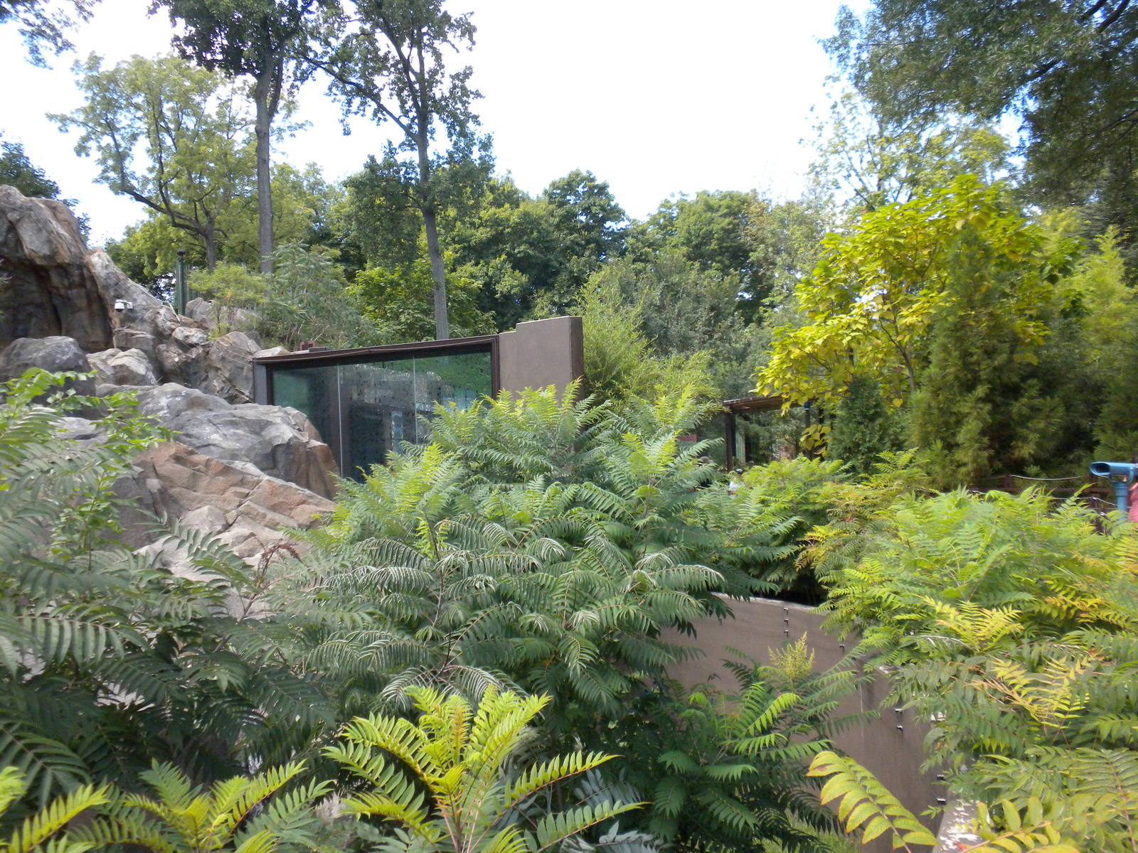 Sloth Bear Exhibit  [Asia Trail]